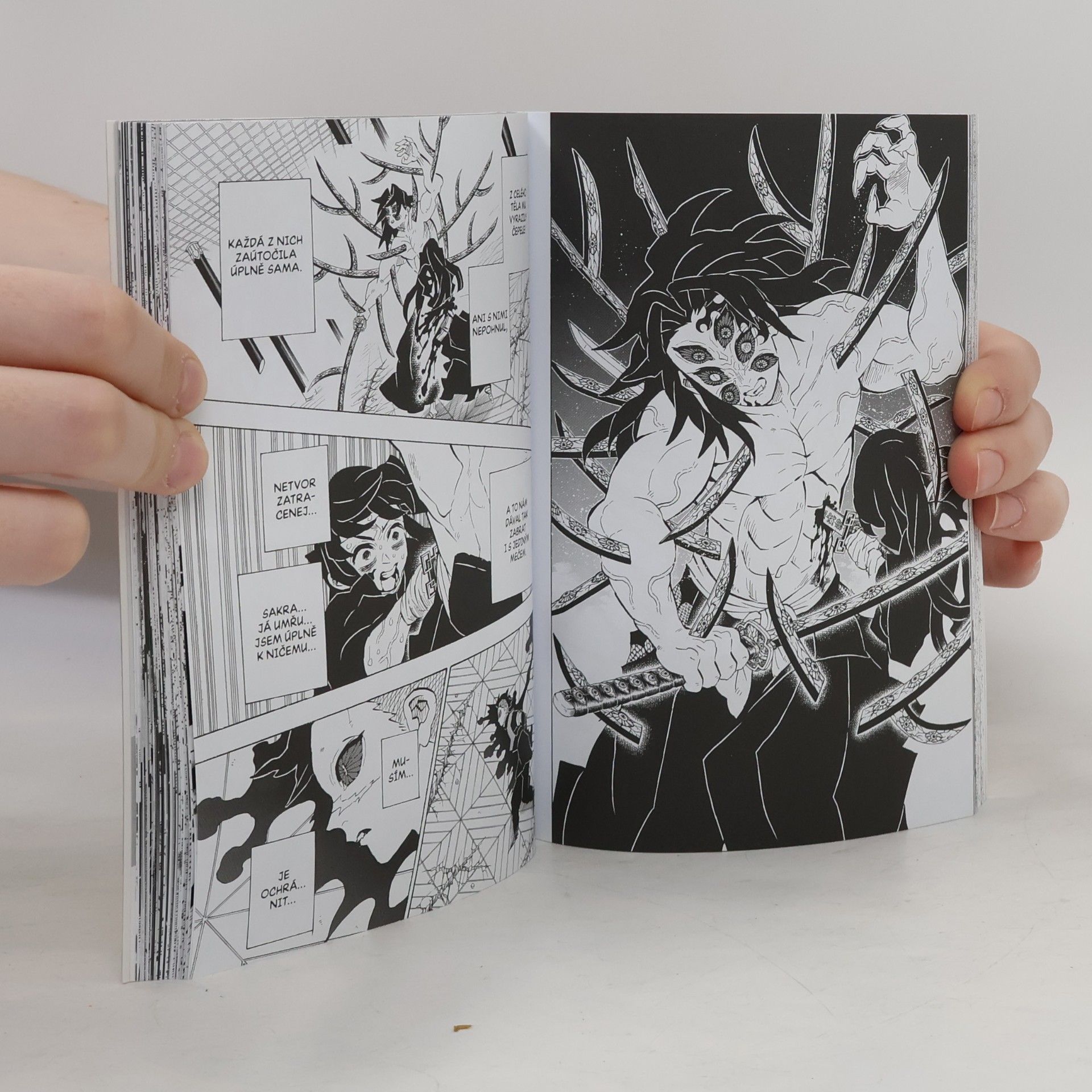 Koyoharu Gotōge Nezlomnou vůlí vstříc vítězství