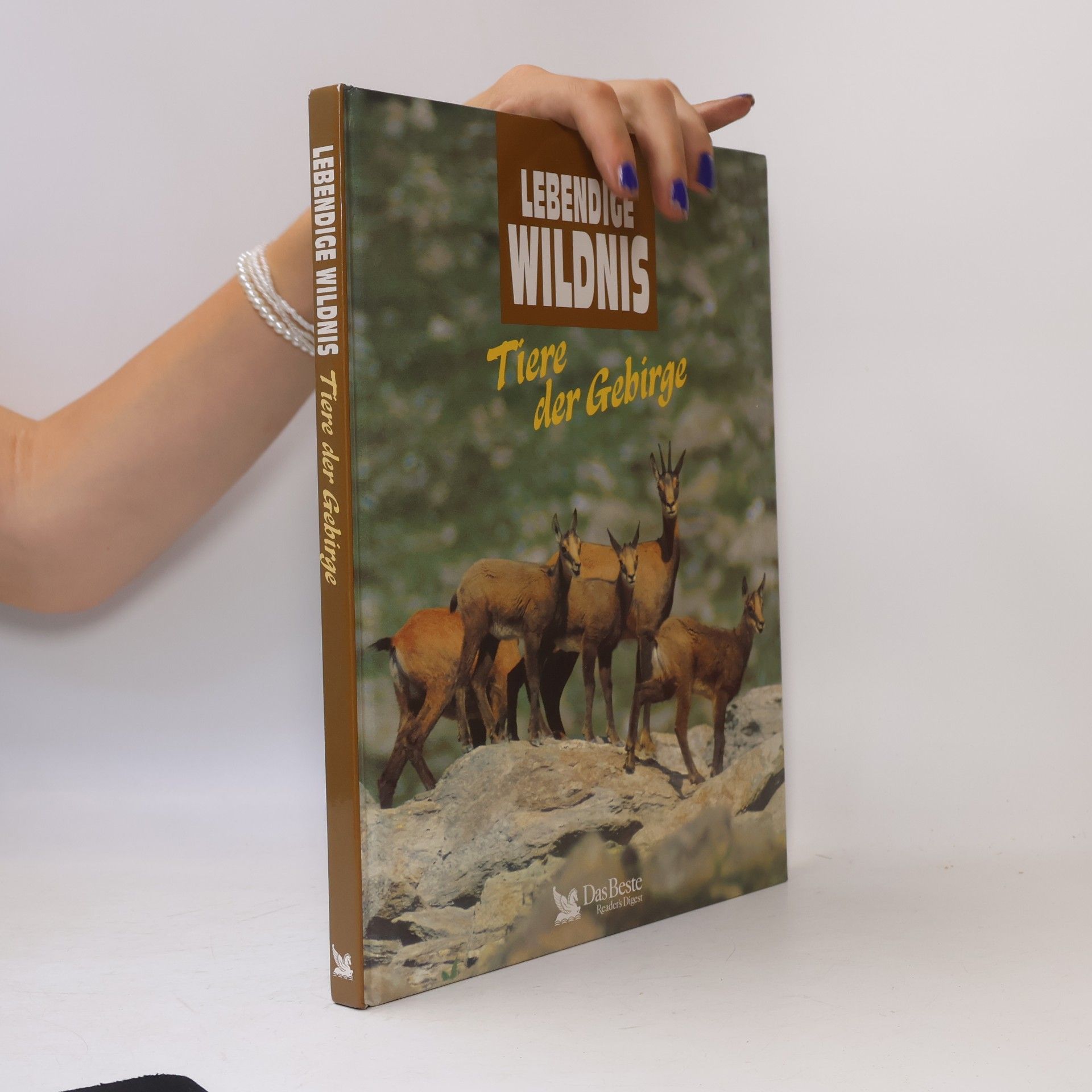 Autorenkollektiv Lebendige Wildnis : Tiere der Gebirge