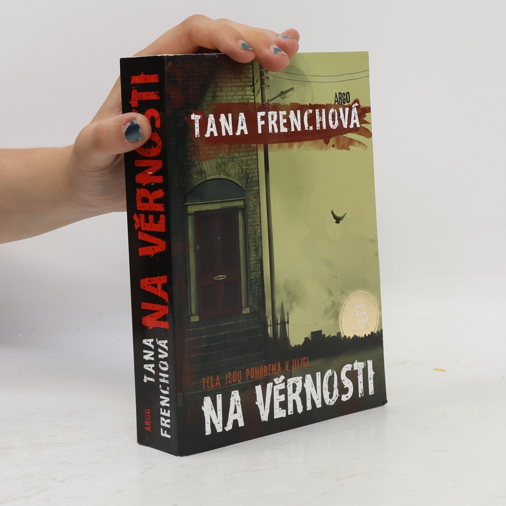 Tana French Na Věrnosti