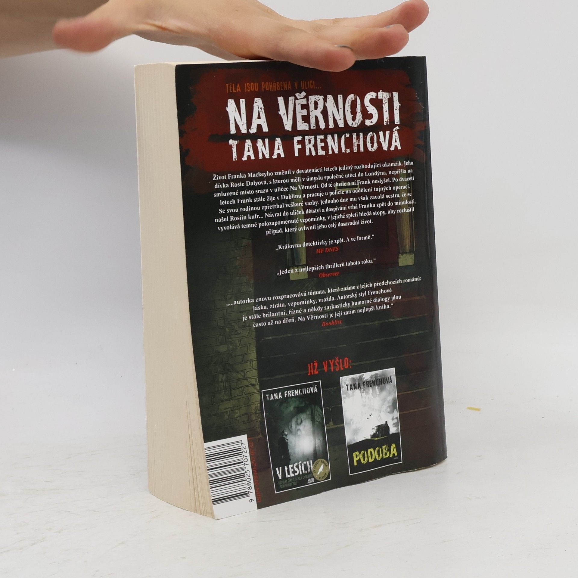 Tana French Na Věrnosti