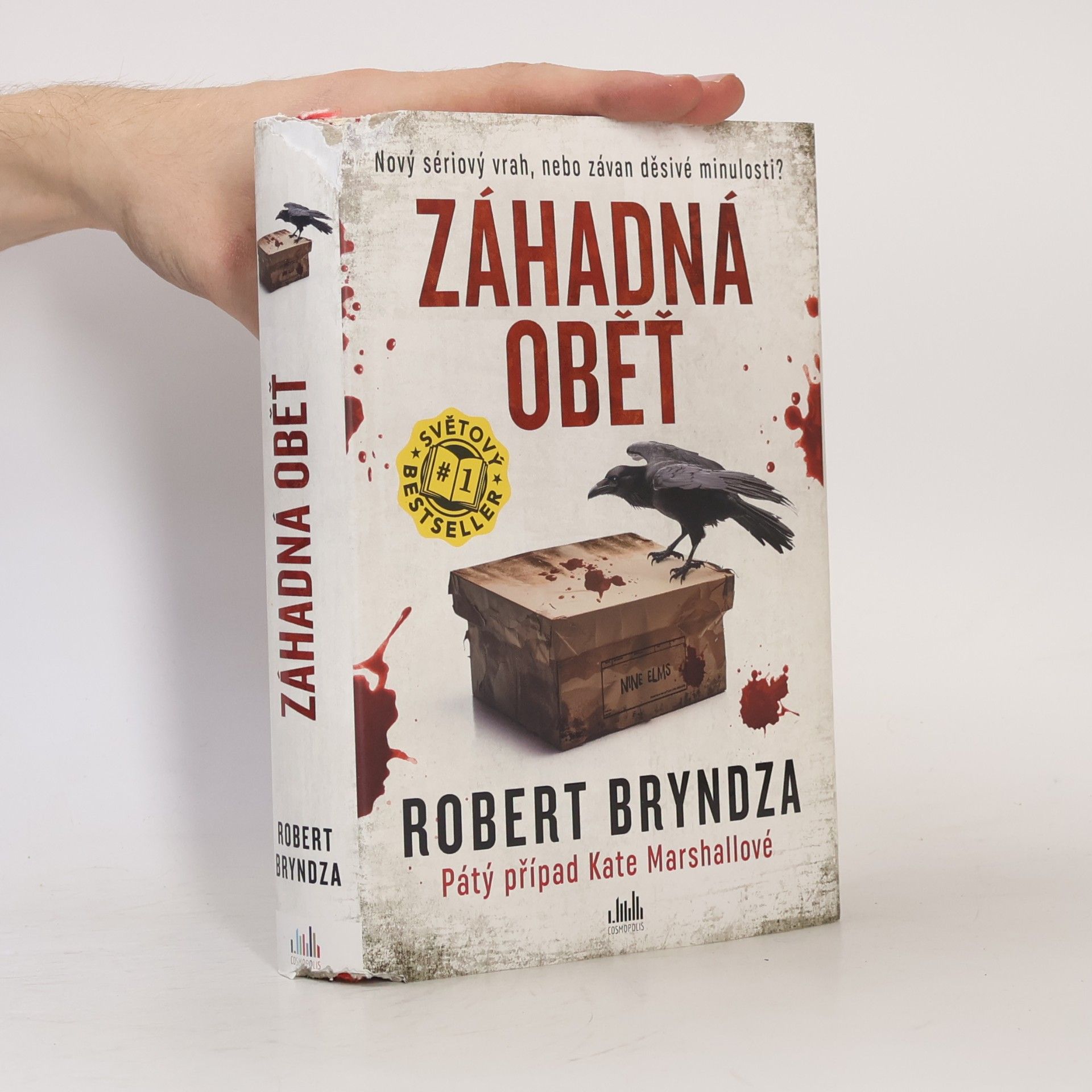 Robert Bryndza Záhadná oběť