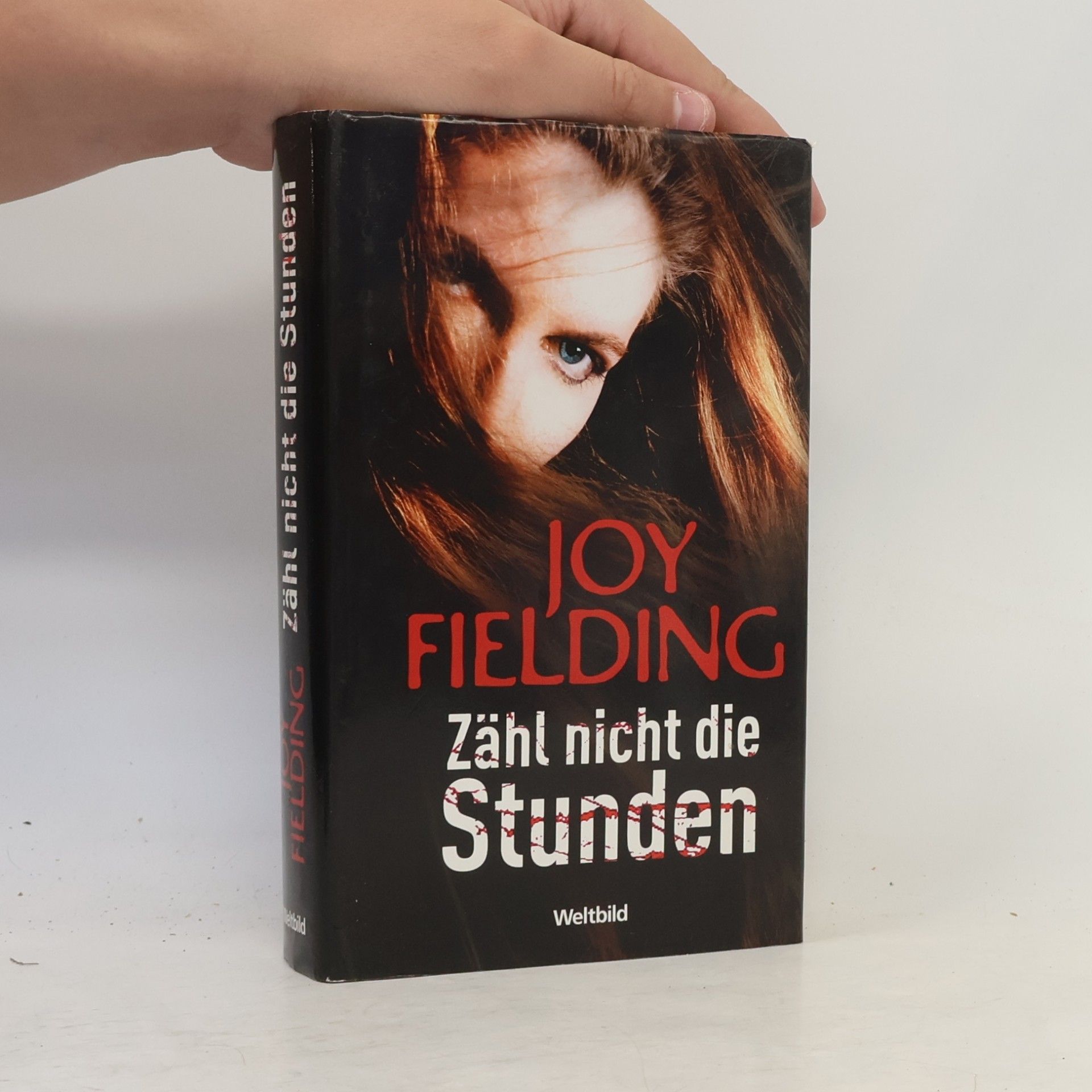 Joy Fielding Zähl nicht die Stunden