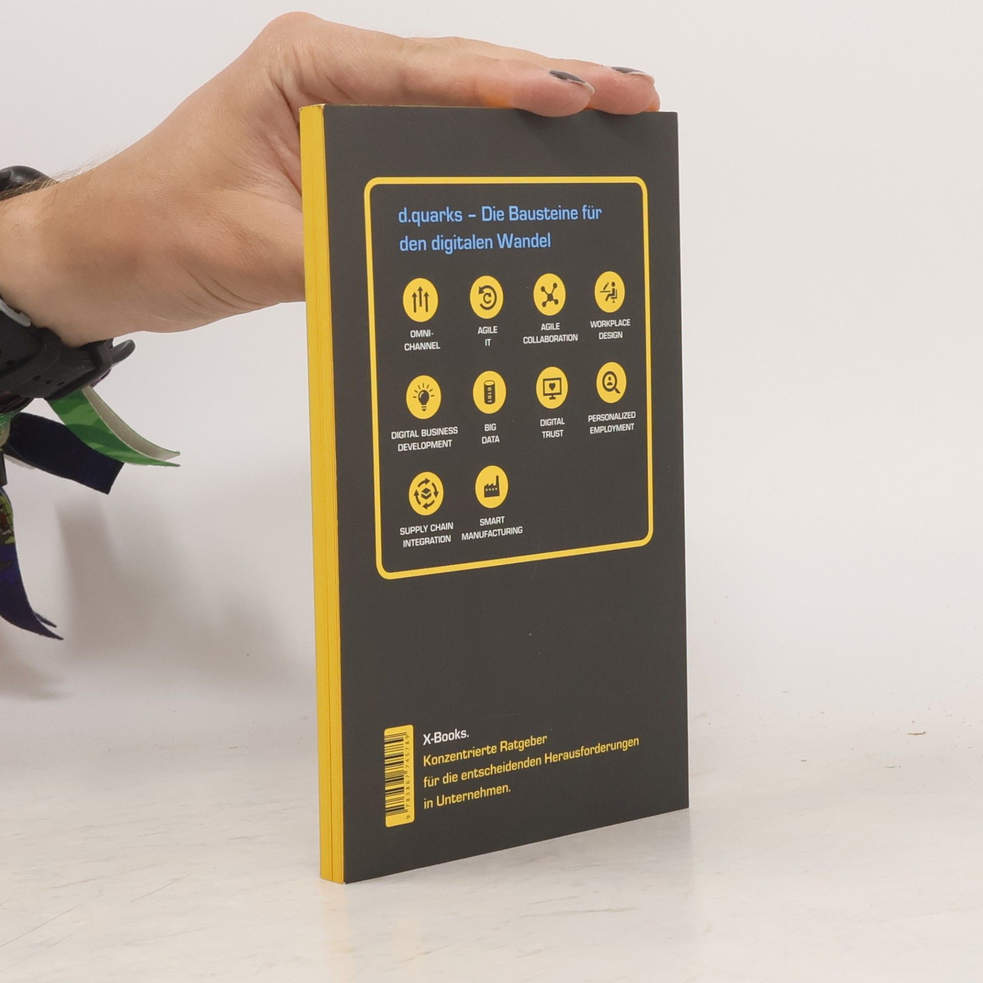 Carsten Hentrich X-Books: d.quarks X