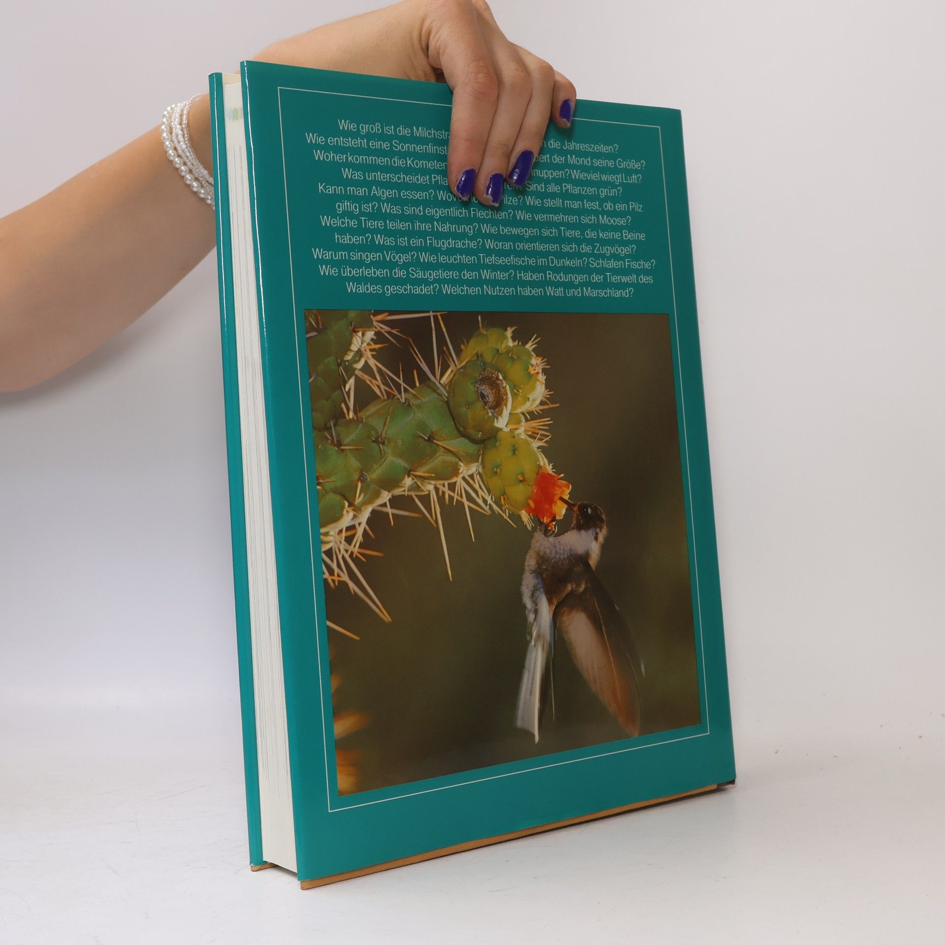 Durward L. Allen 1000 Fragen an die Natur