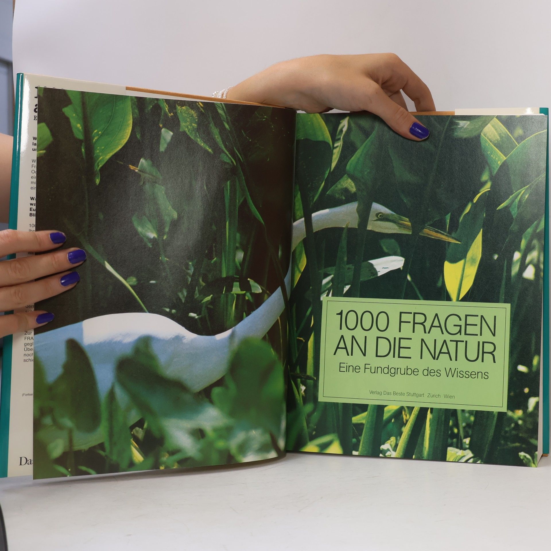 Durward L. Allen 1000 Fragen an die Natur