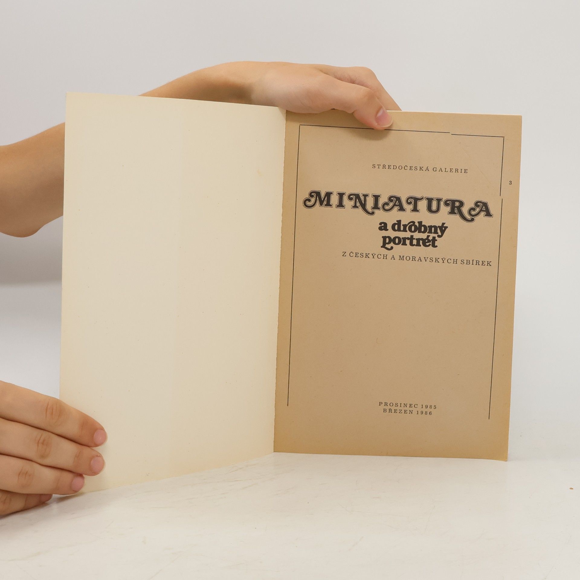 Various authors Miniatura a drobný portrét z českých a moravských sbírek