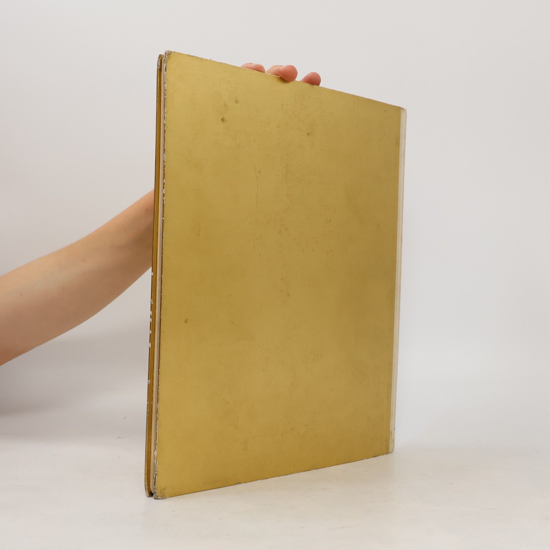 Kolektiv autorů Das goldene buch der Schweiz