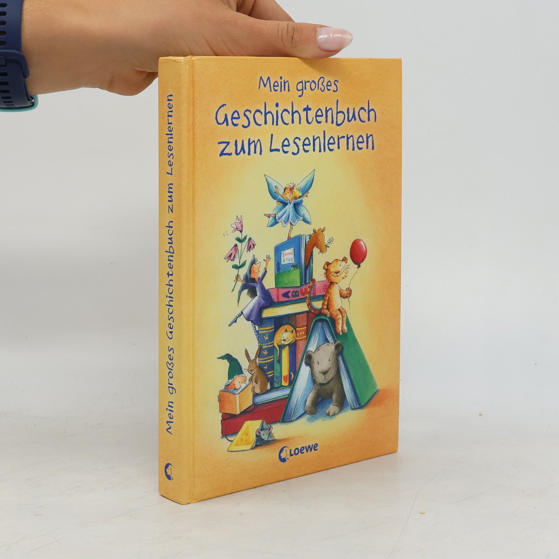 Autorenkollektiv Mein großes Geschichtenbuch zum Lesenlernen