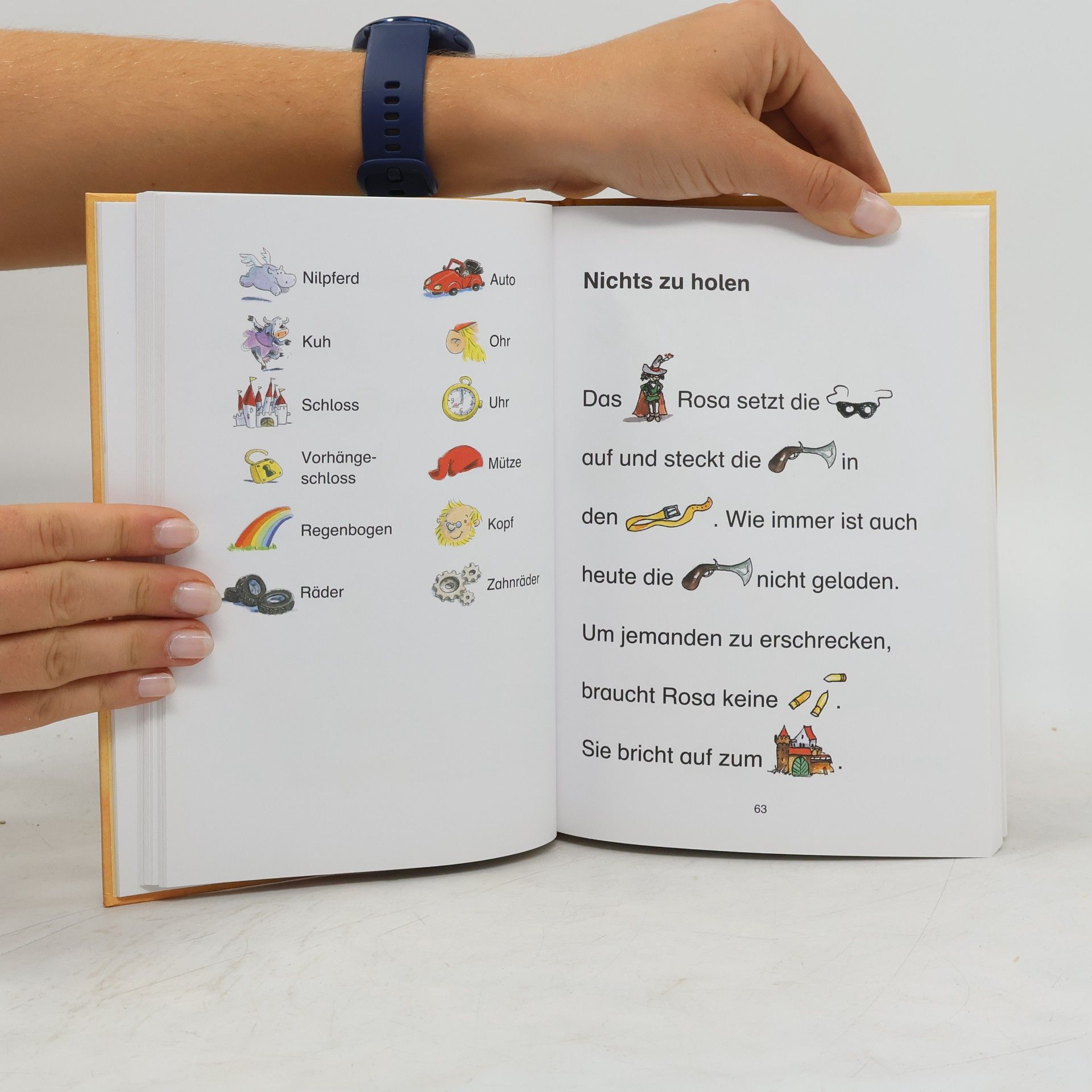Mein großes Geschichtenbuch zum Lesenlernen