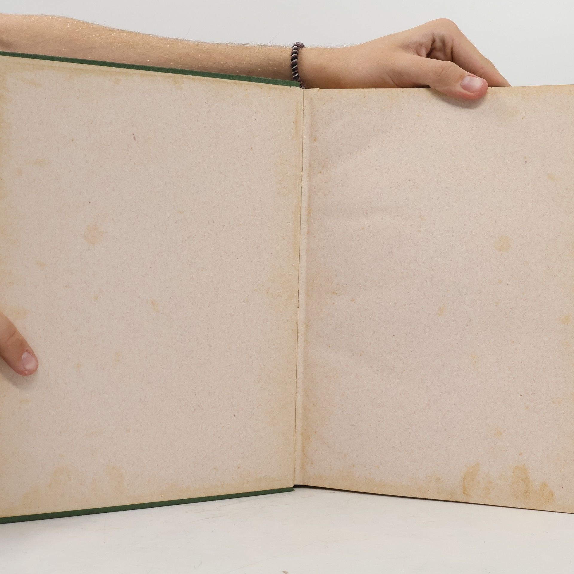 Johann Saathoff Die Gartenwelt