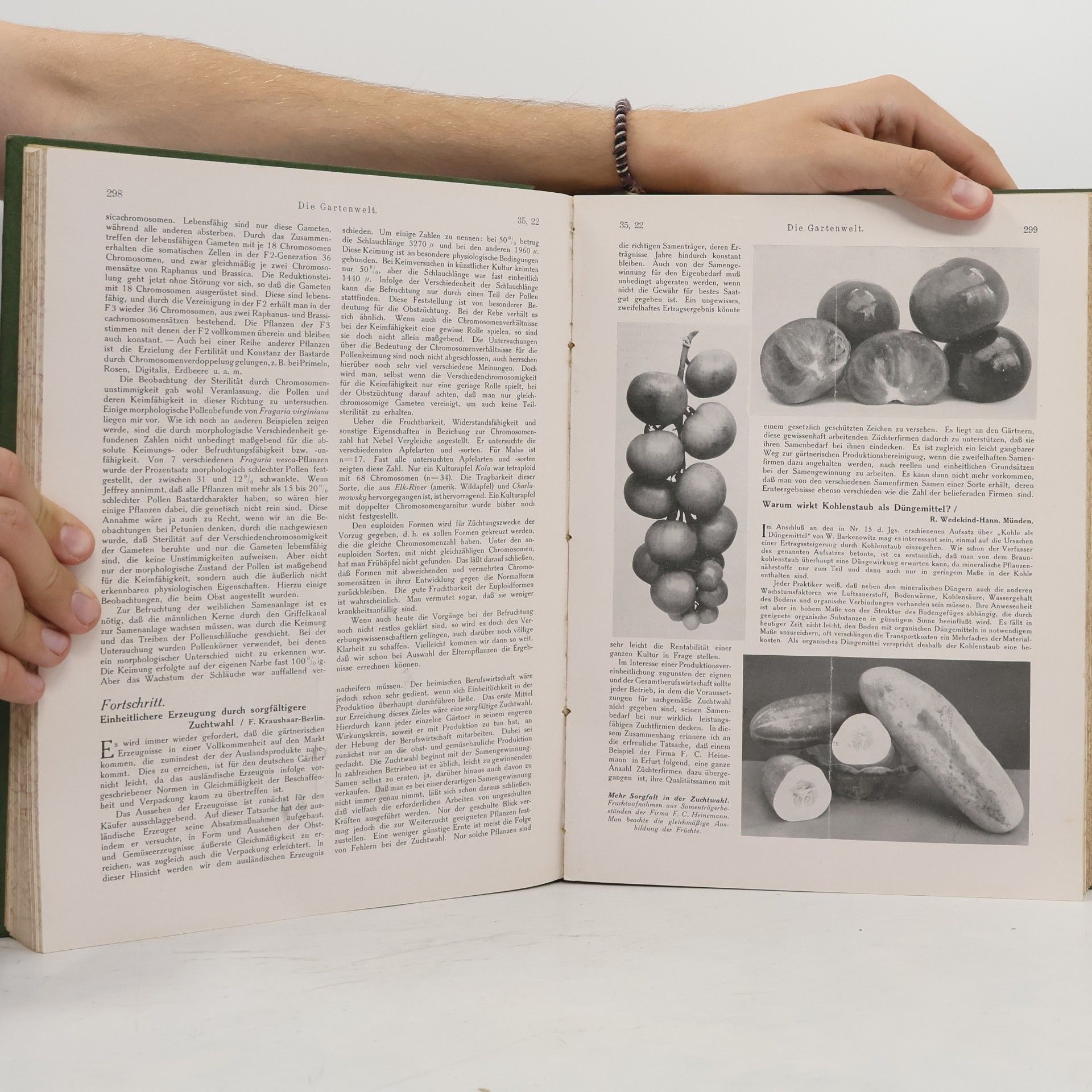 Johann Saathoff Die Gartenwelt