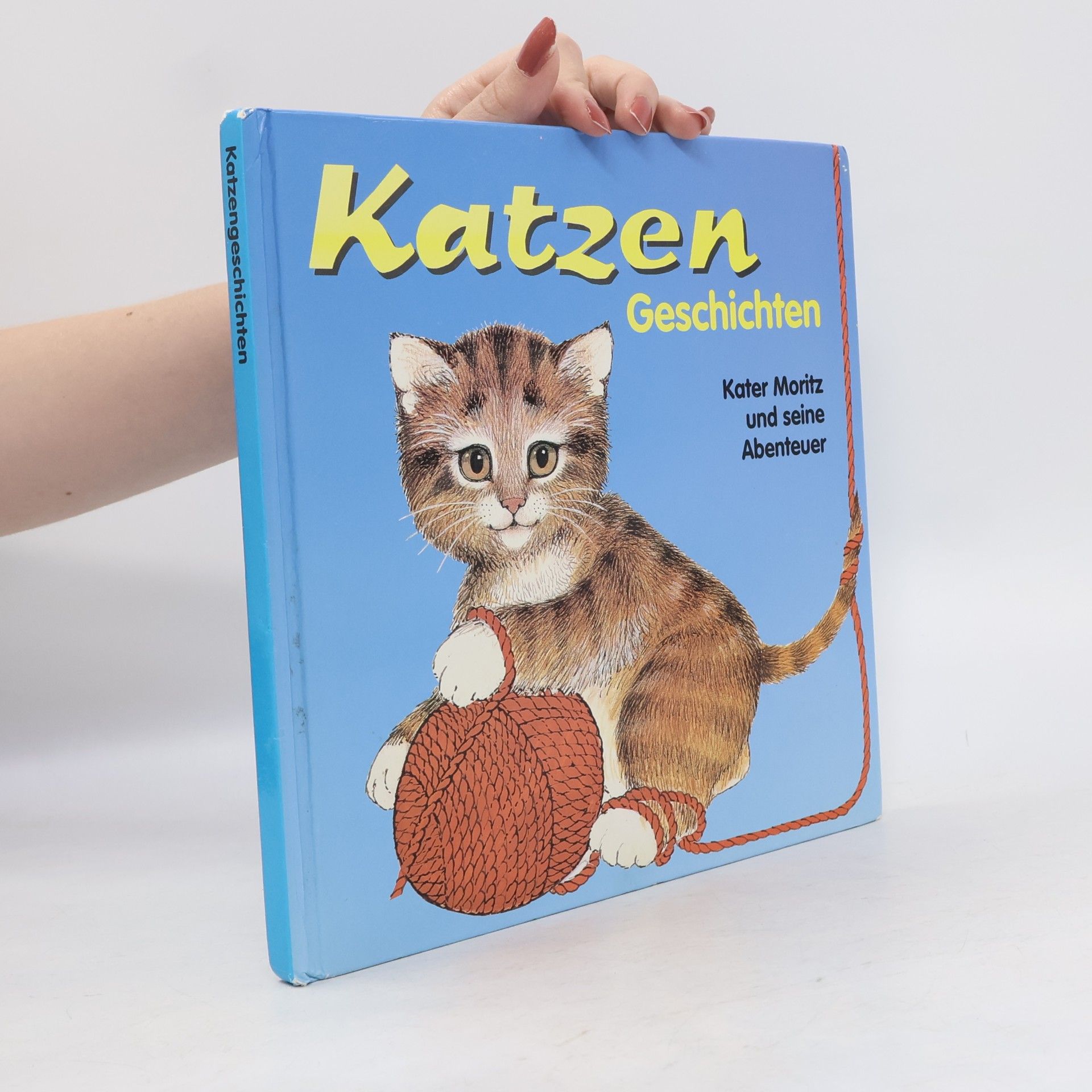 Auteurscollectief Katzen Geschichten. Kater Moritz und seine Abenteuer