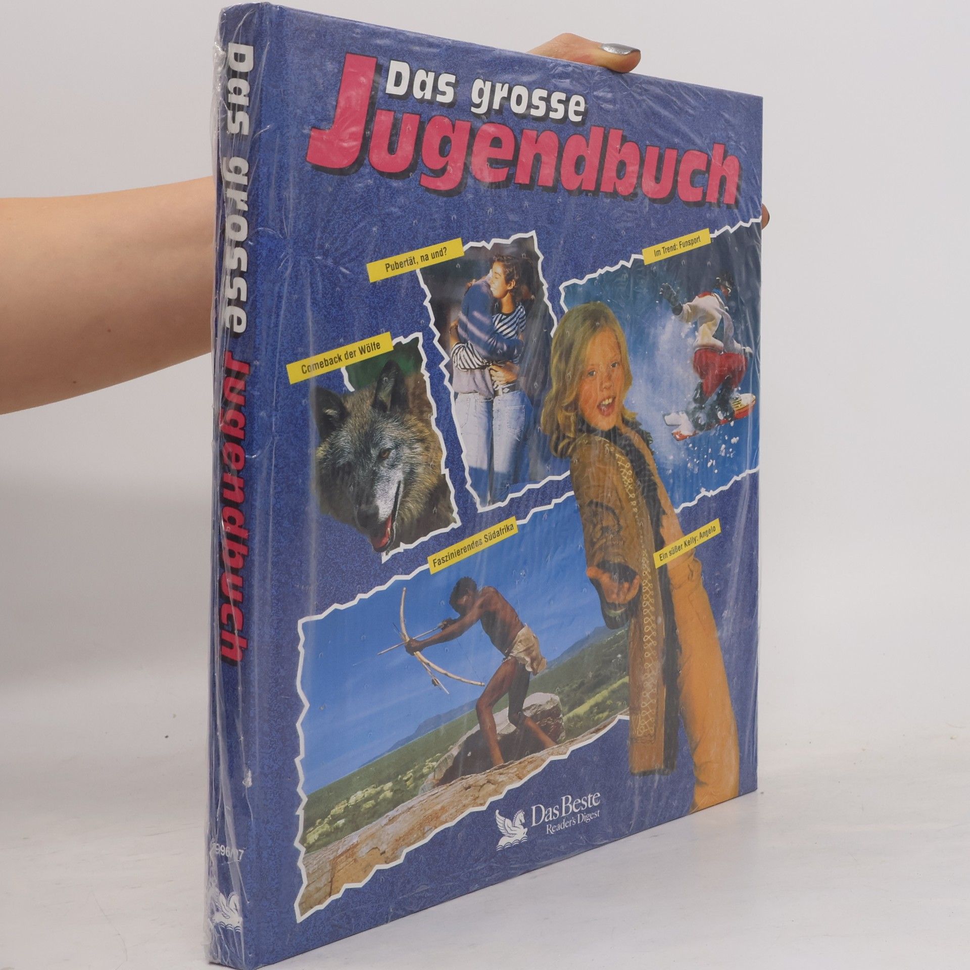 Various authors Das grosse Jugendbuch. 37. Folge