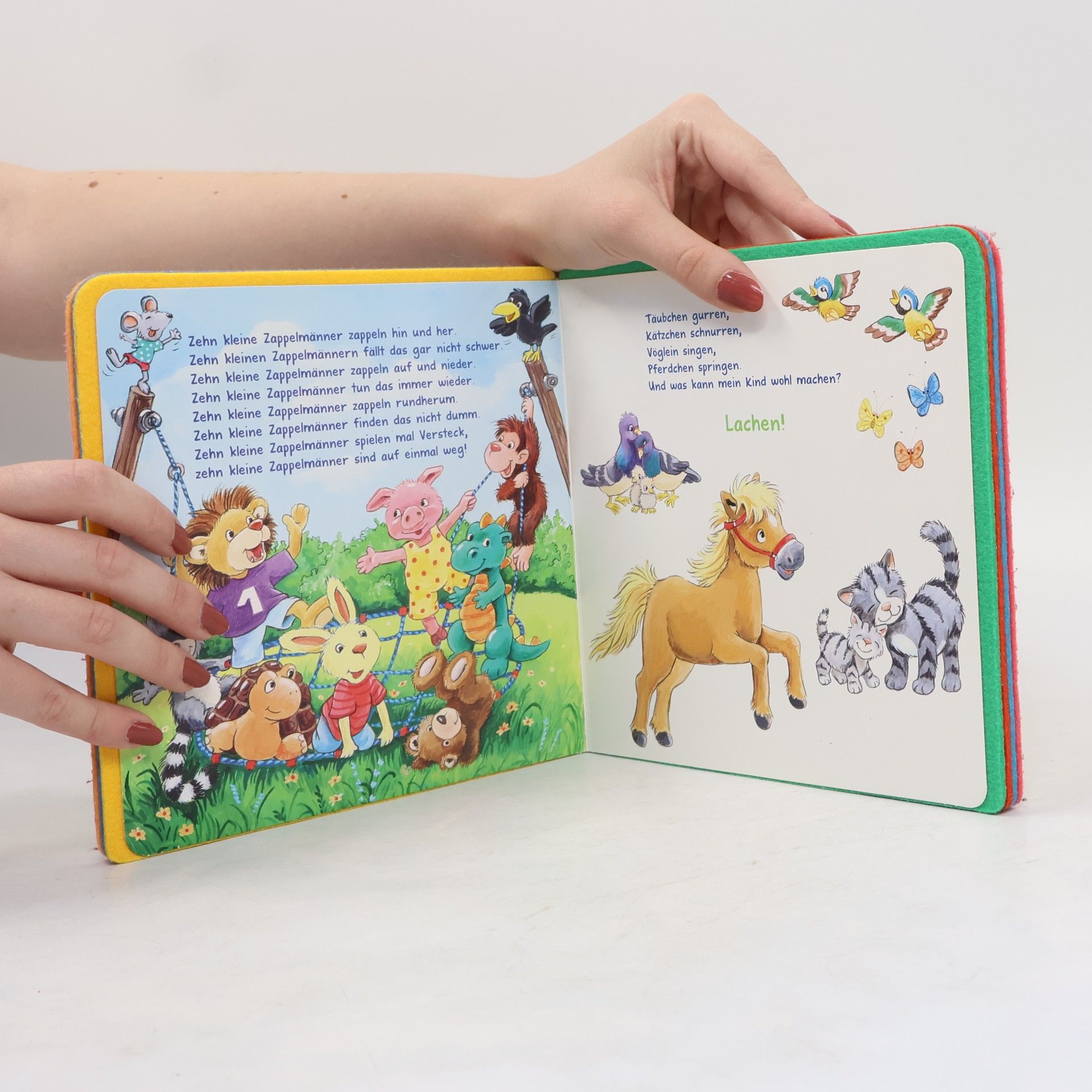 Antje Flad Heile, heile, Gänschen ... und andere allererste Kinderreime