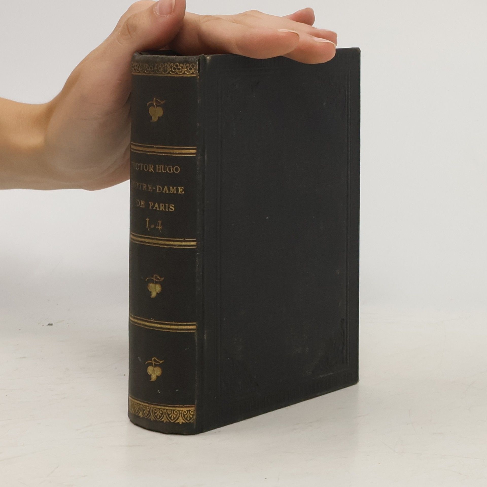 Victor Hugo Notre-Dame de Paris 1-4