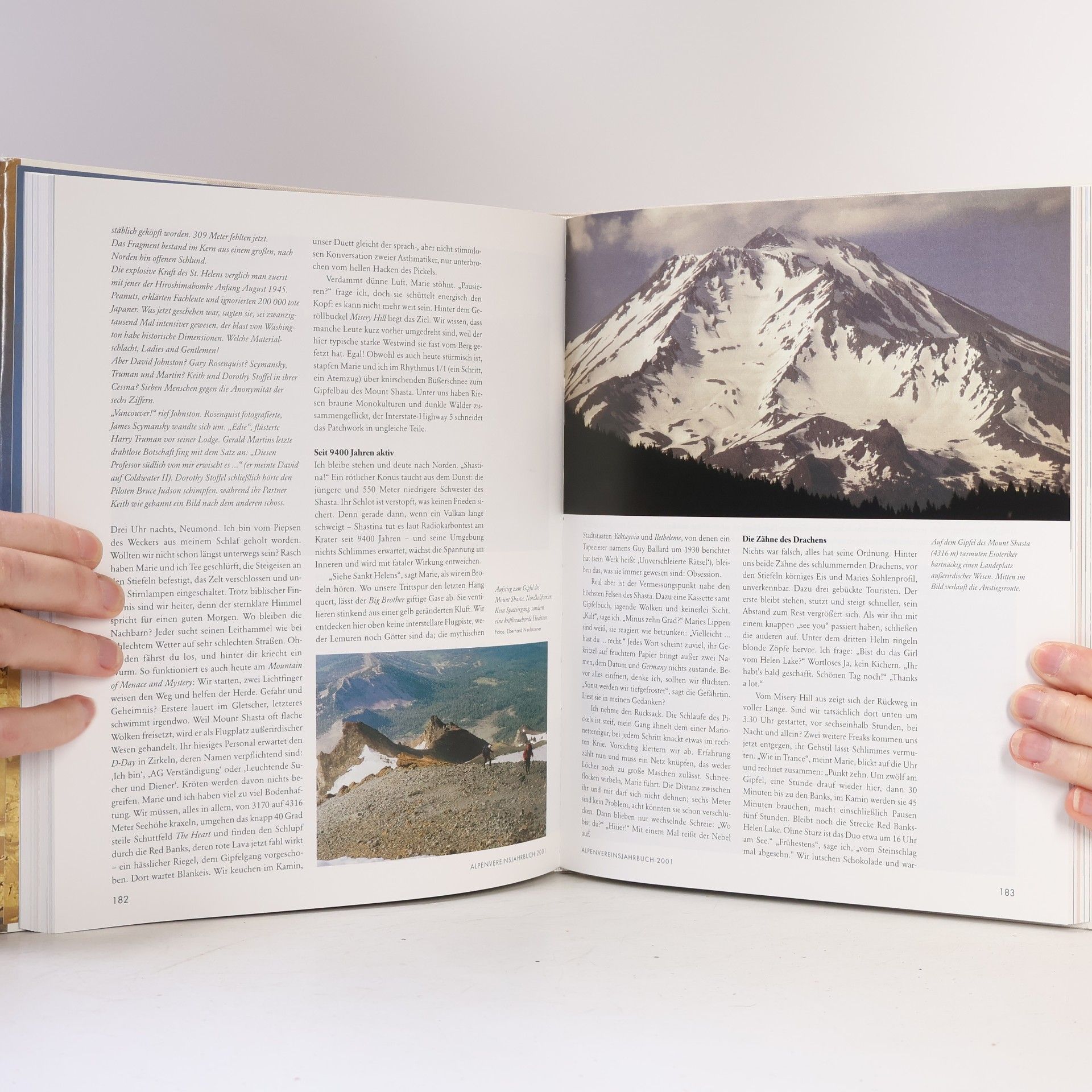 Autorenkollektiv Berg 2001. Alpenvereins Jahrbuch 125