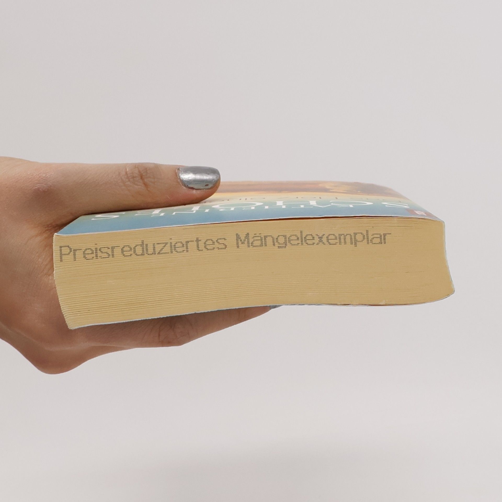 Katherine Scholes Das Herz einer Löwin