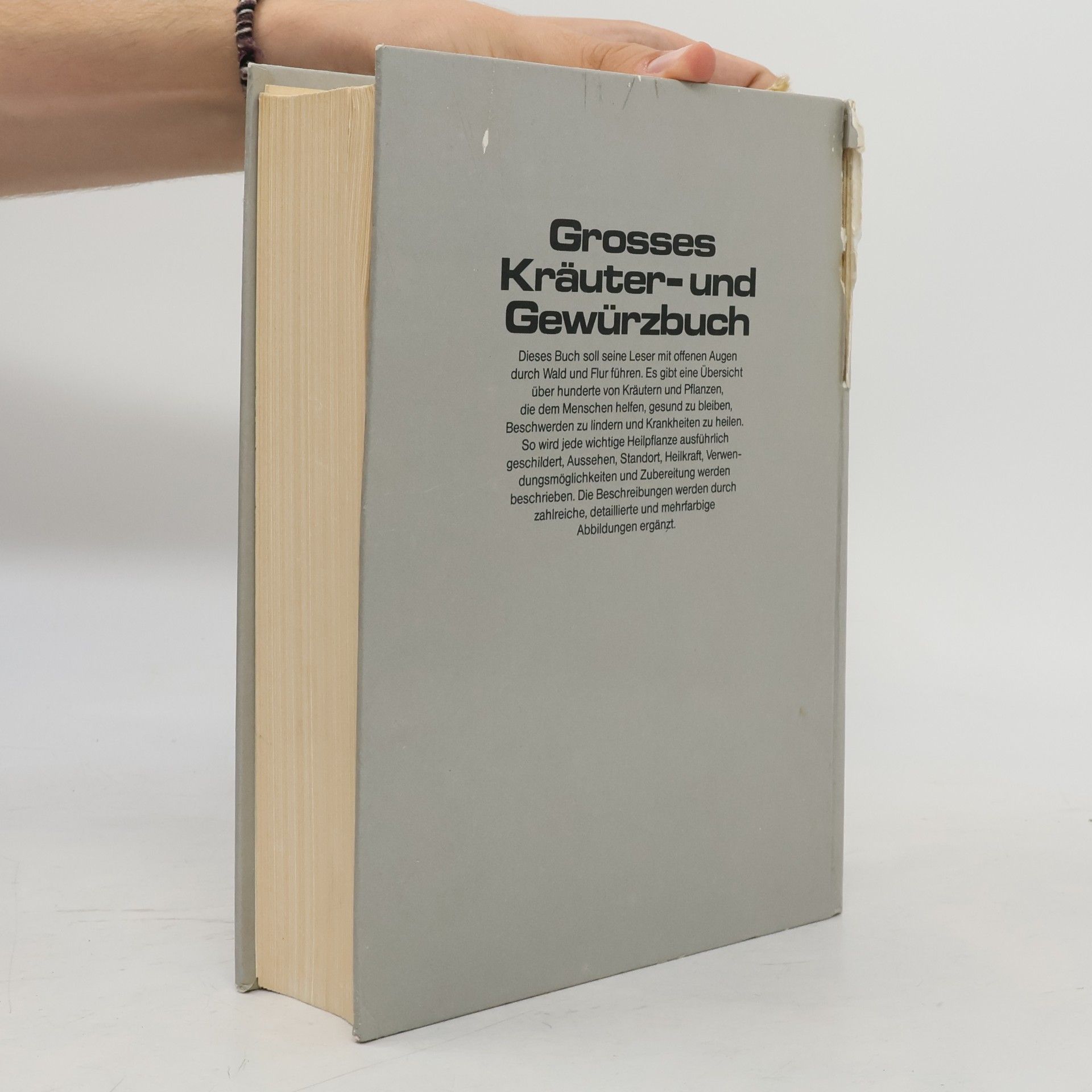 Heinz Görz Grosses Kräuter- und Gewürzbuch
