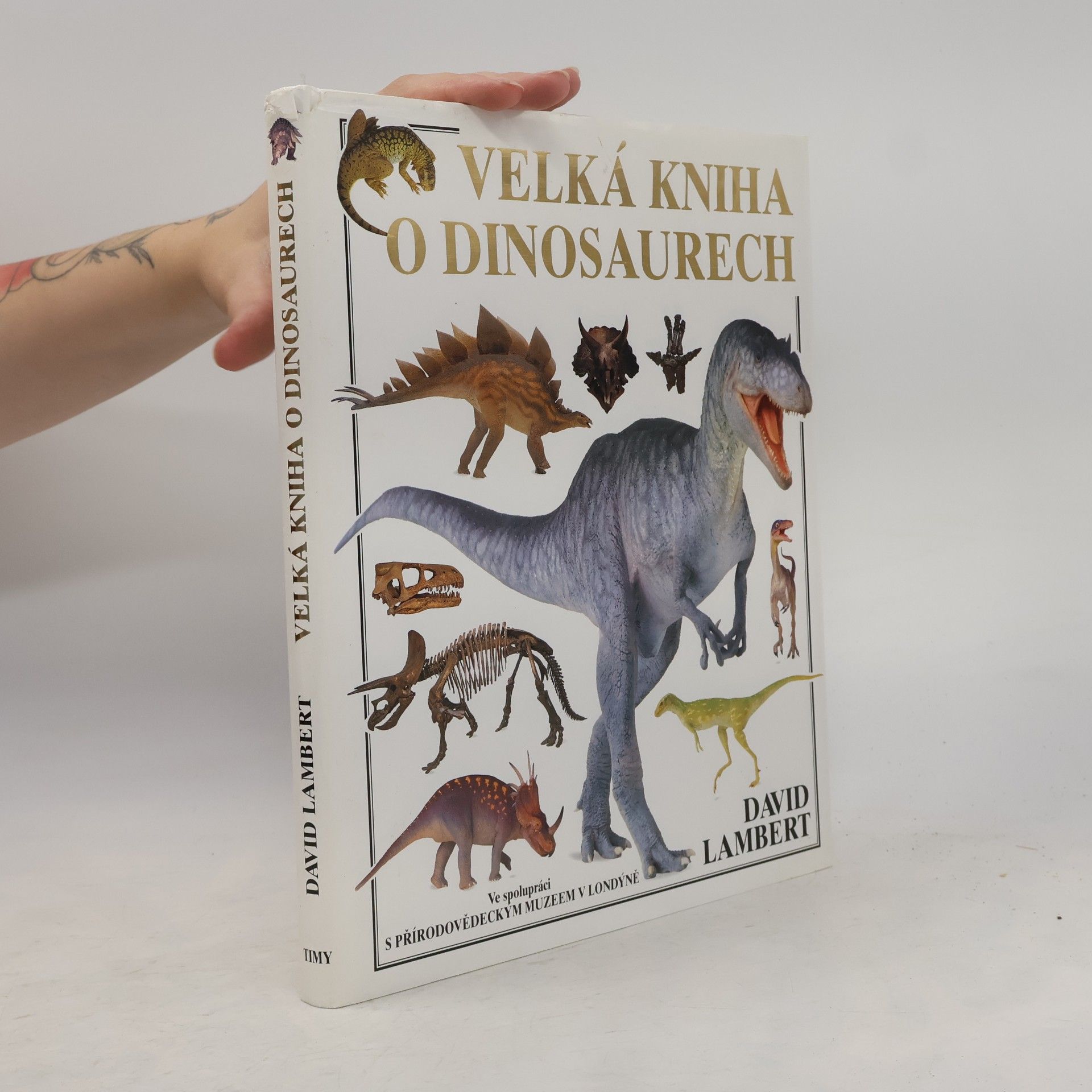 David Lambert Velká kniha o dinosaurech