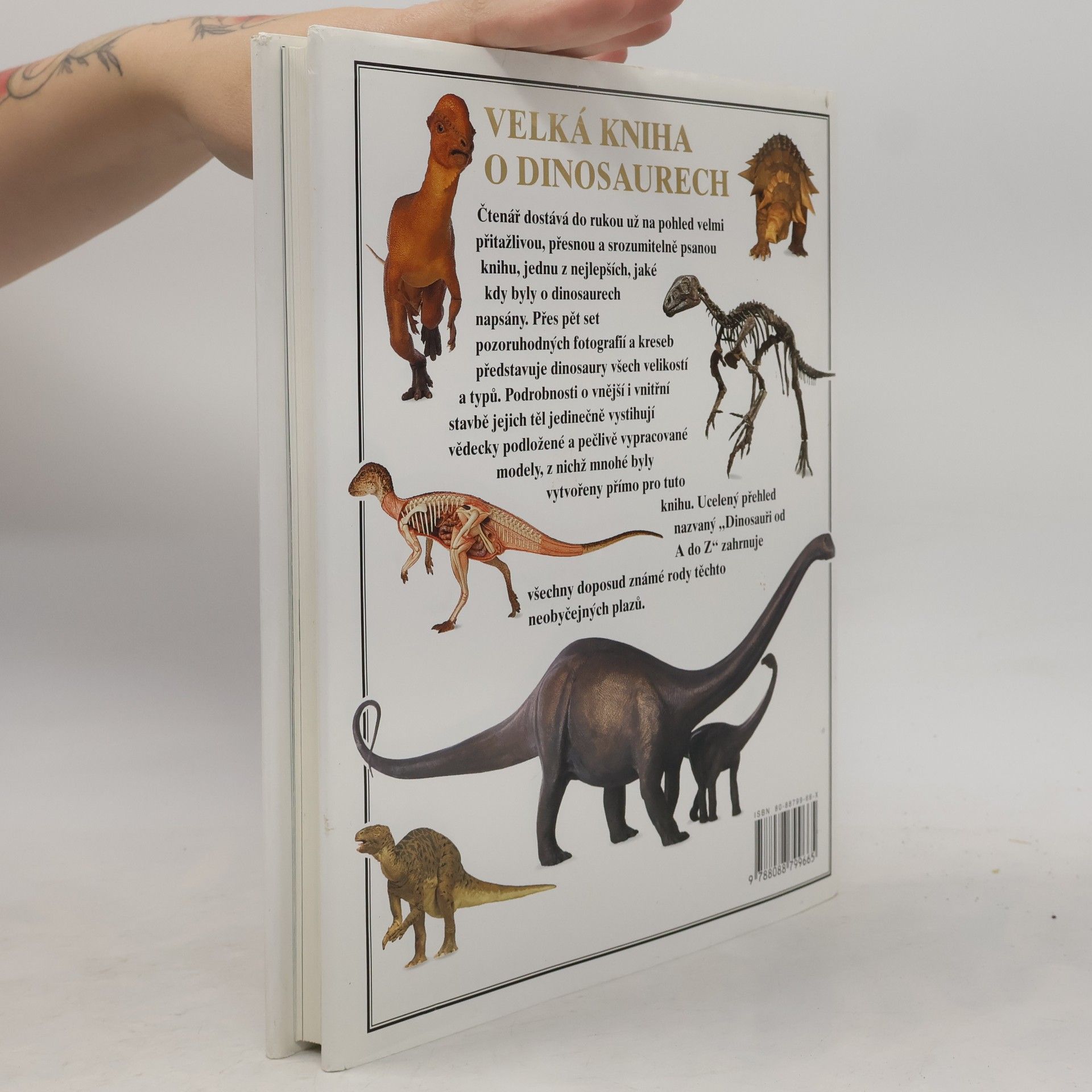 David Lambert Velká kniha o dinosaurech
