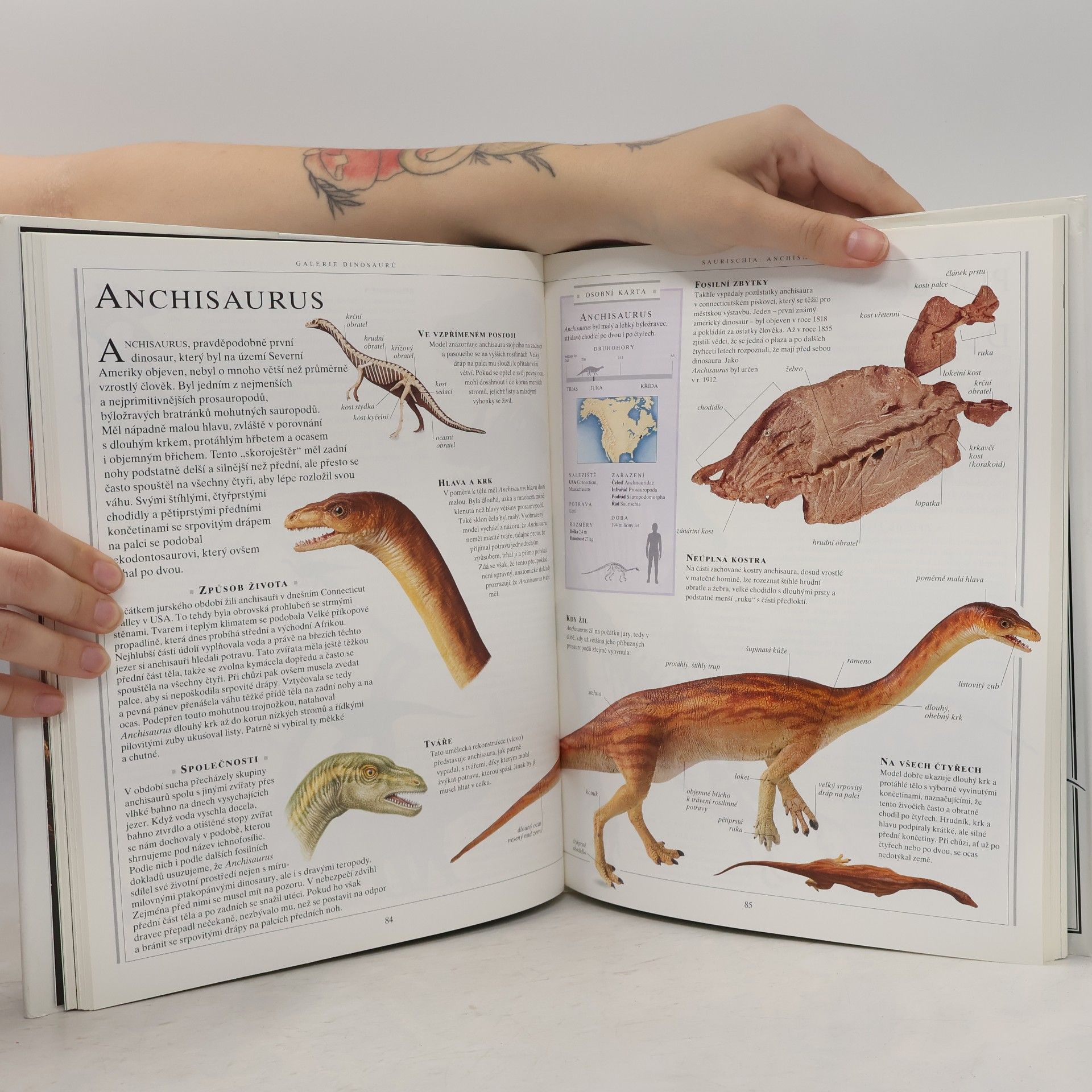 David Lambert Velká kniha o dinosaurech