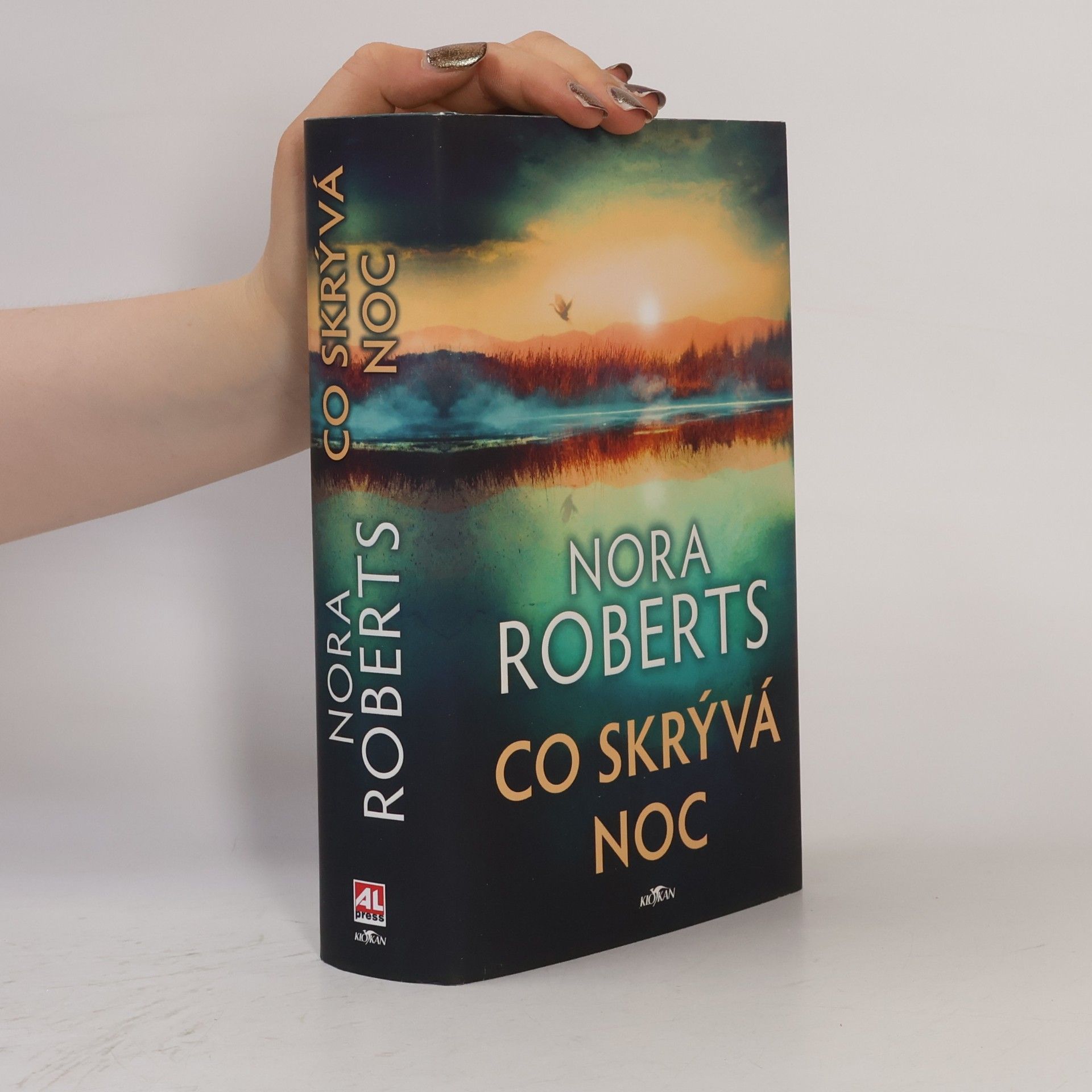 Nora Roberts Co skrývá noc