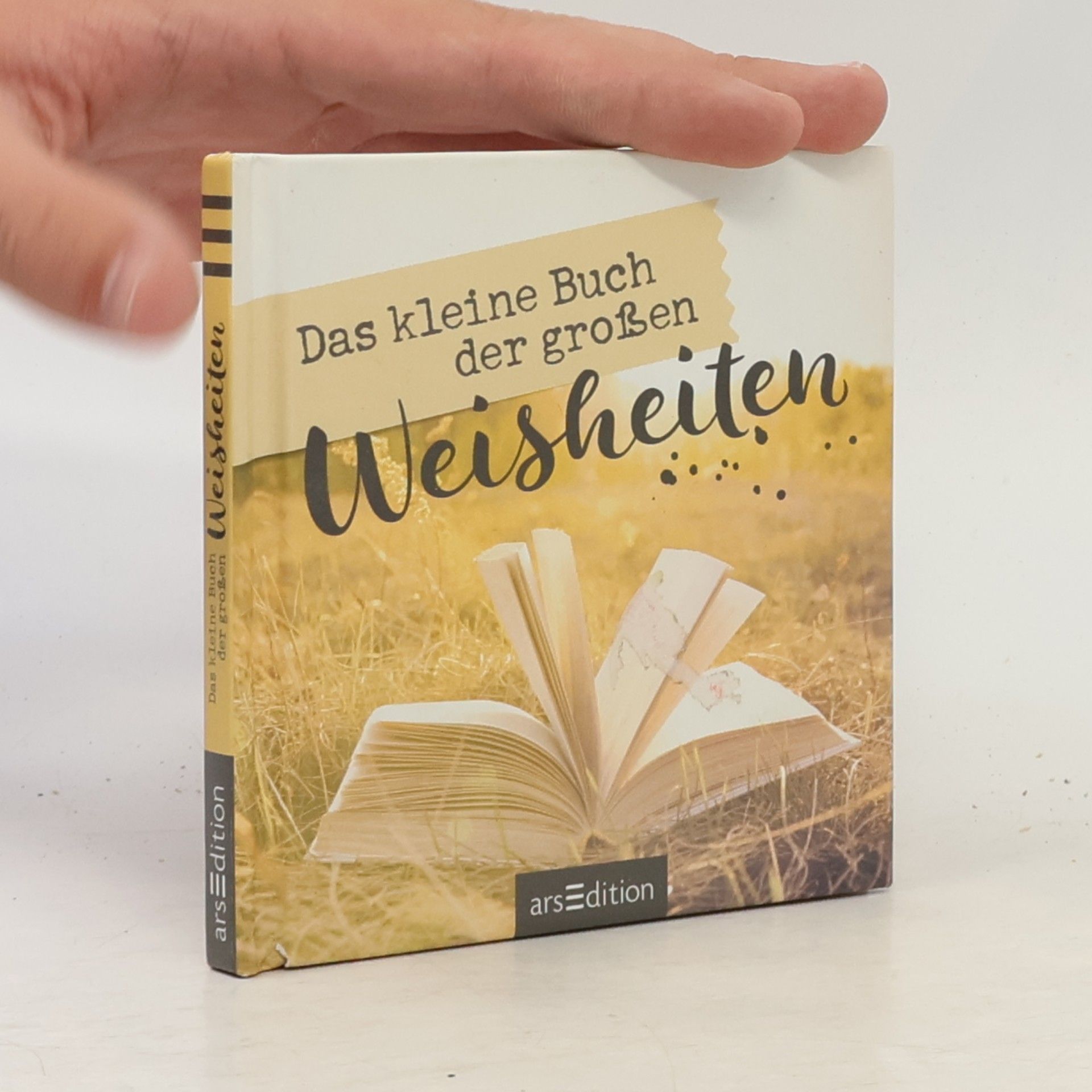 Various authors Das kleine Buch der großen Weisheiten