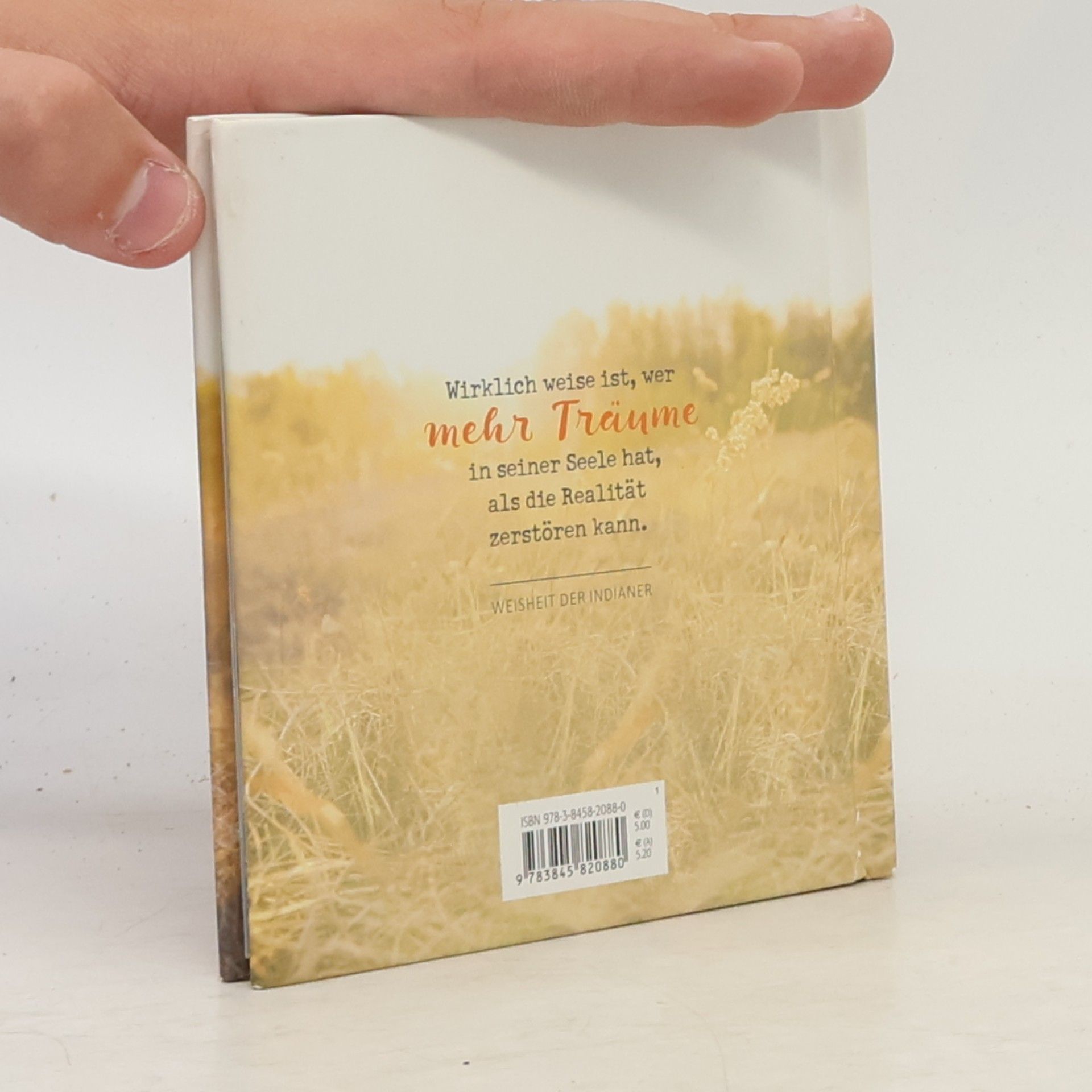Das kleine Buch der großen Weisheiten
