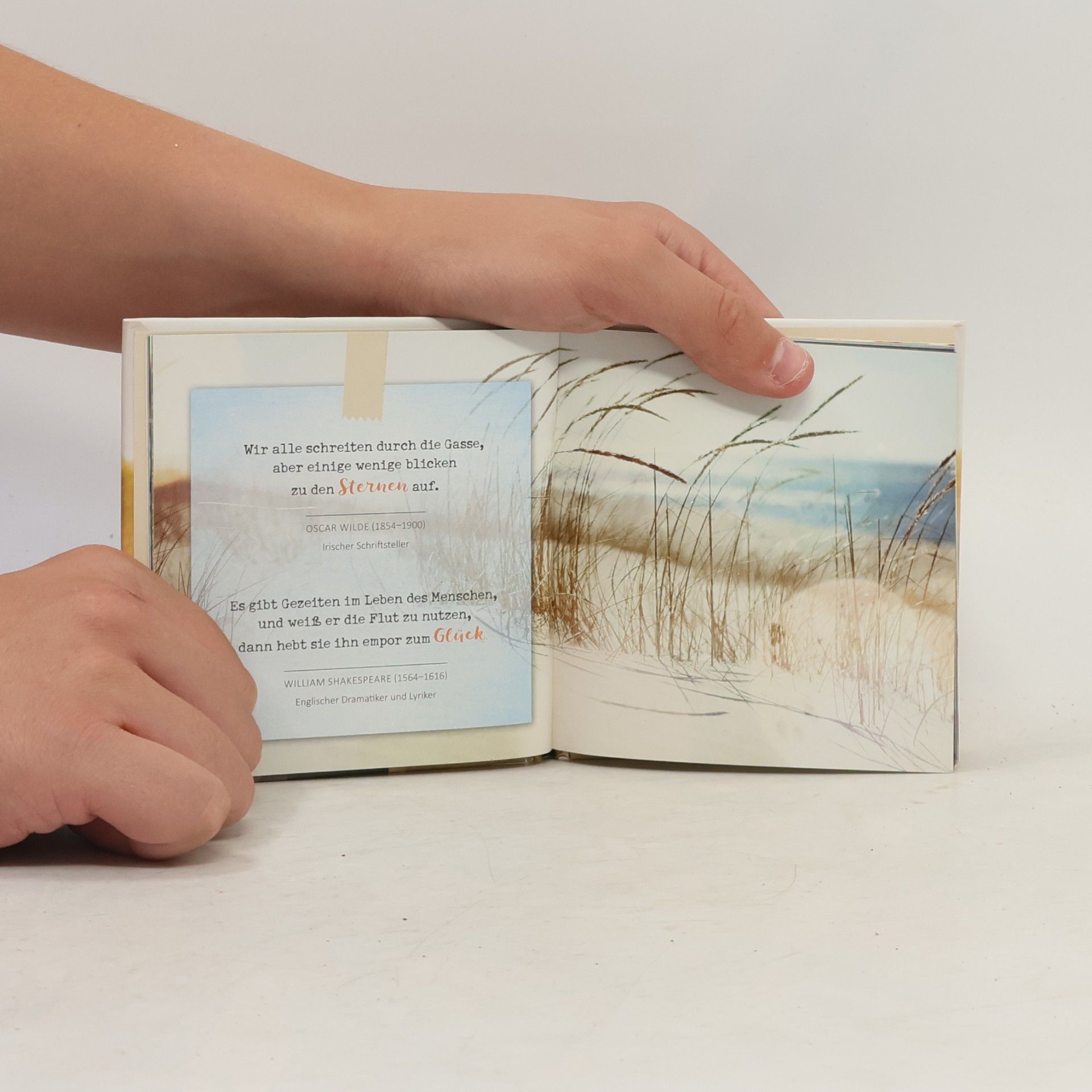 Das kleine Buch der großen Weisheiten