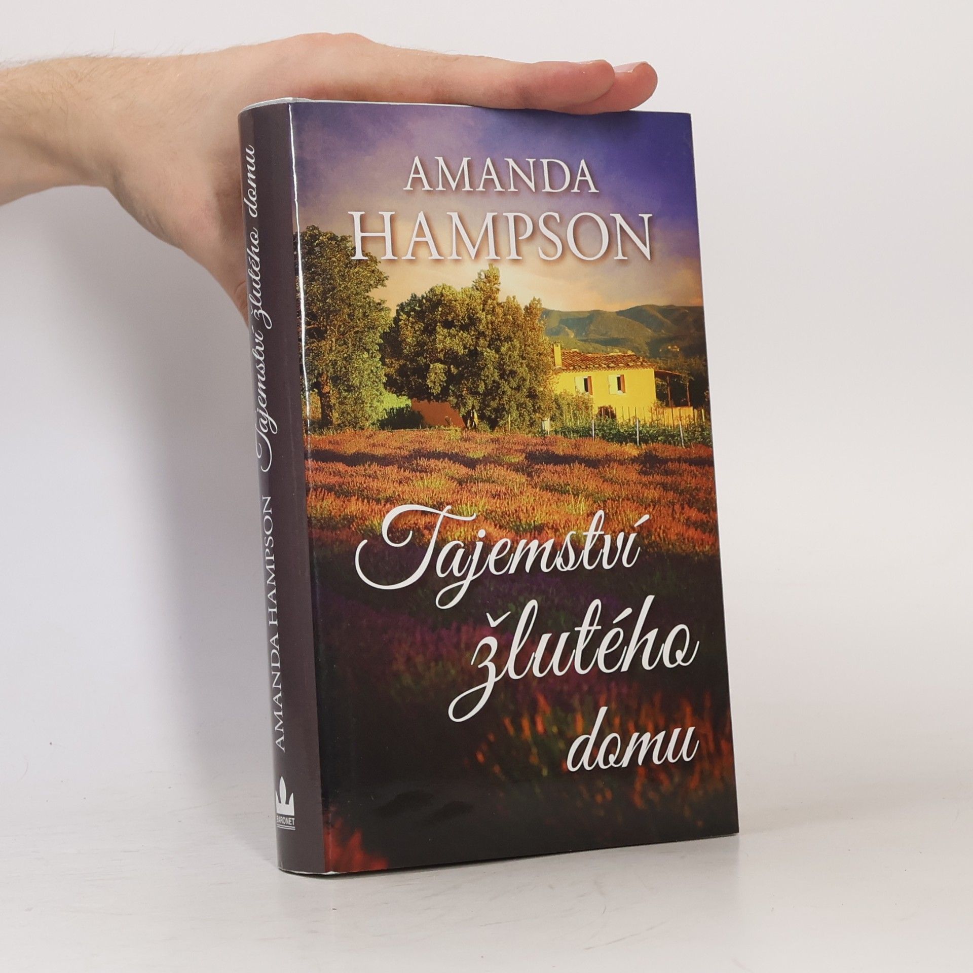 Amanda Hampson Tajemství žlutého domu