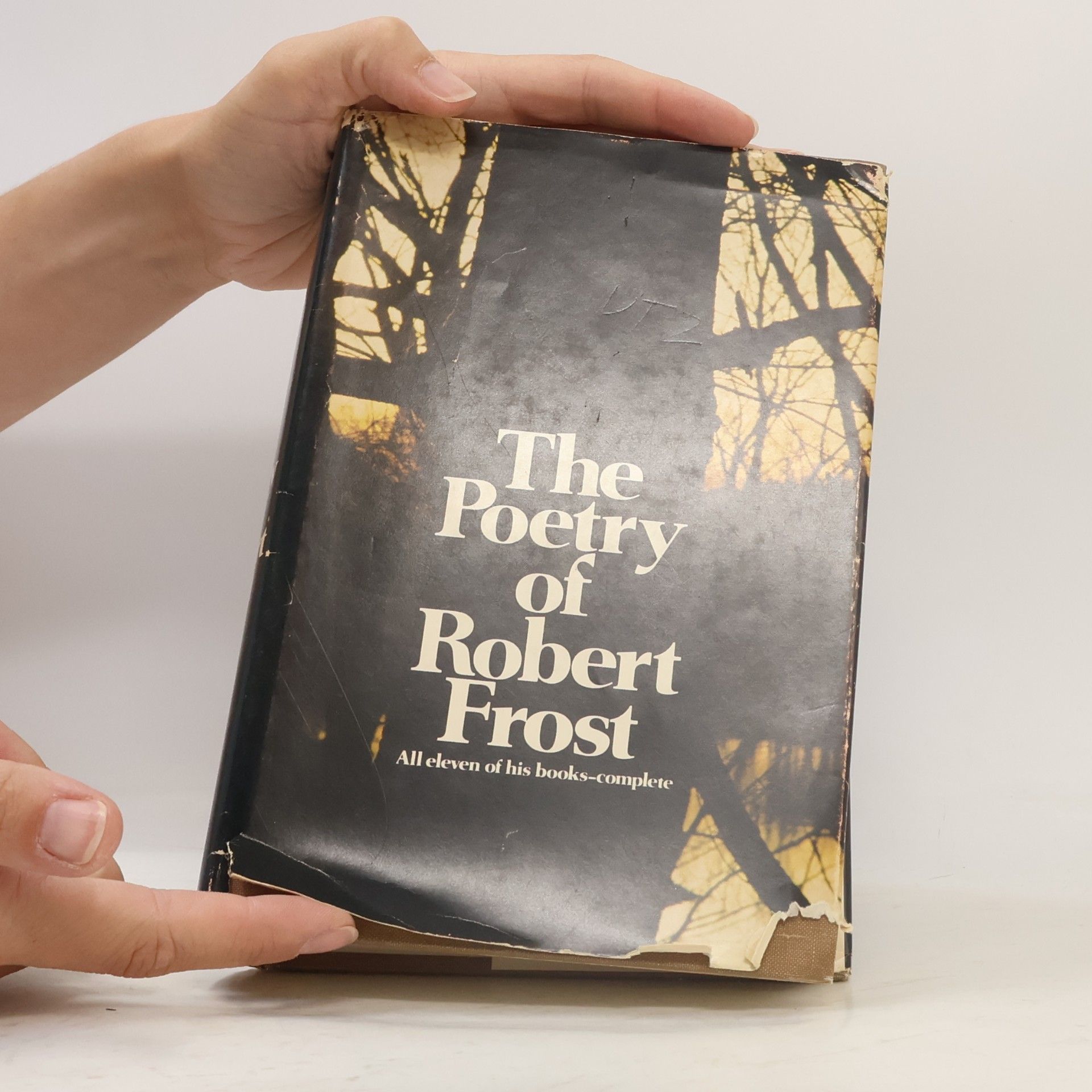 Robert Frost The Poetry of Robert Frost