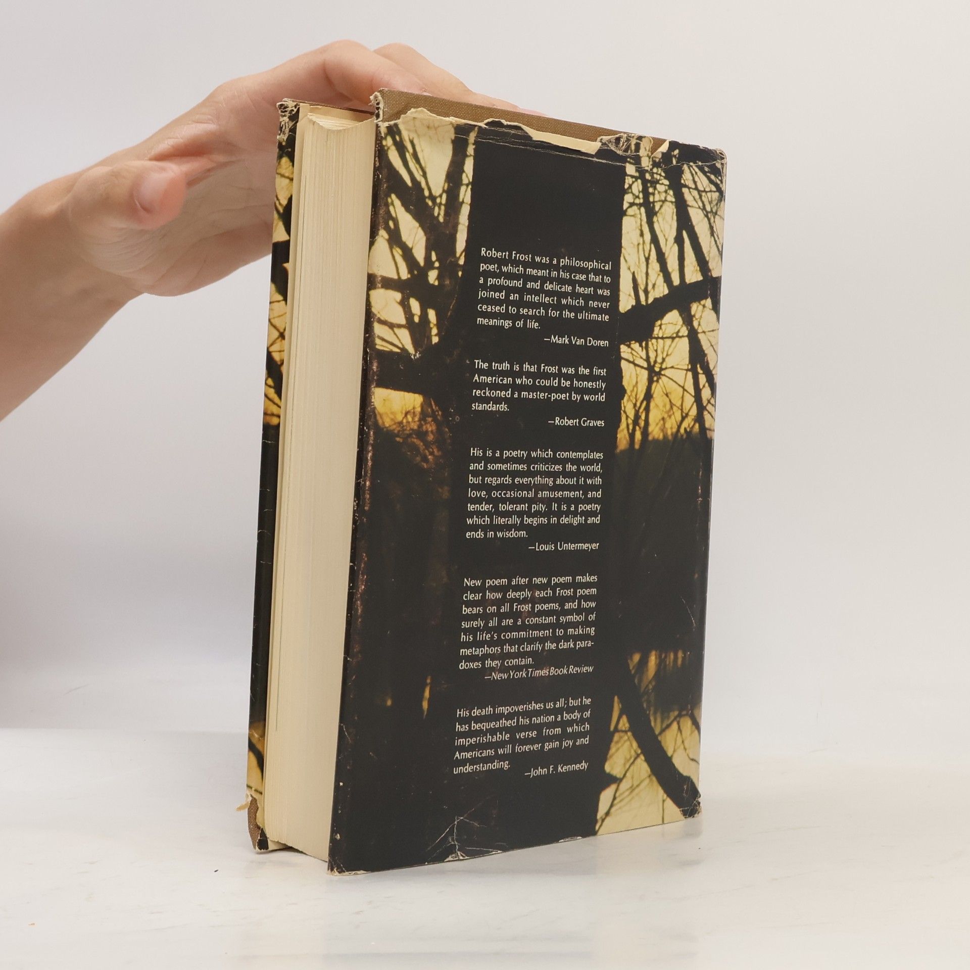 Robert Frost The Poetry of Robert Frost