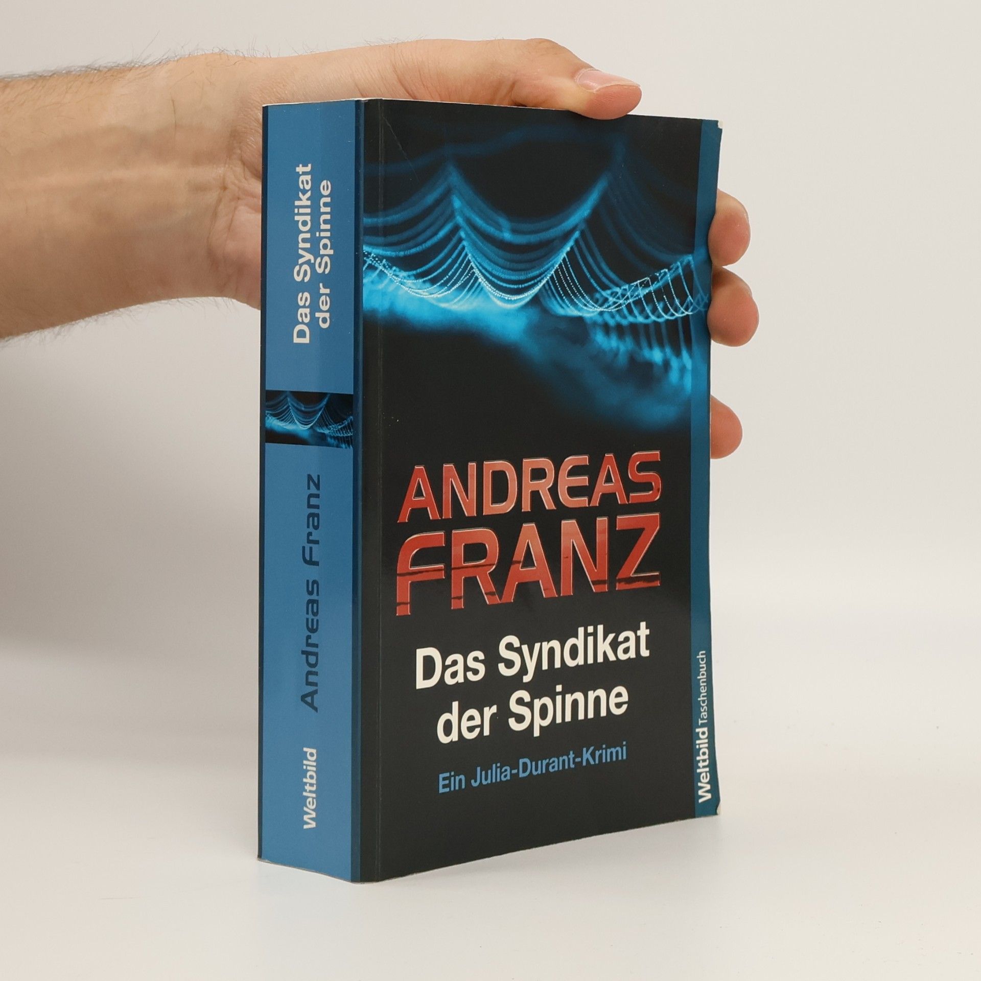 Das Syndikat der Spinne
