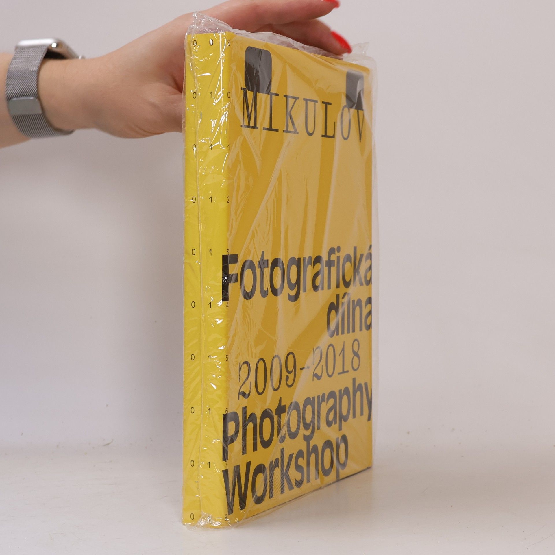 Kolektiv autorů Mikulov: fotografická dílna = photography workshop : 2009-2018