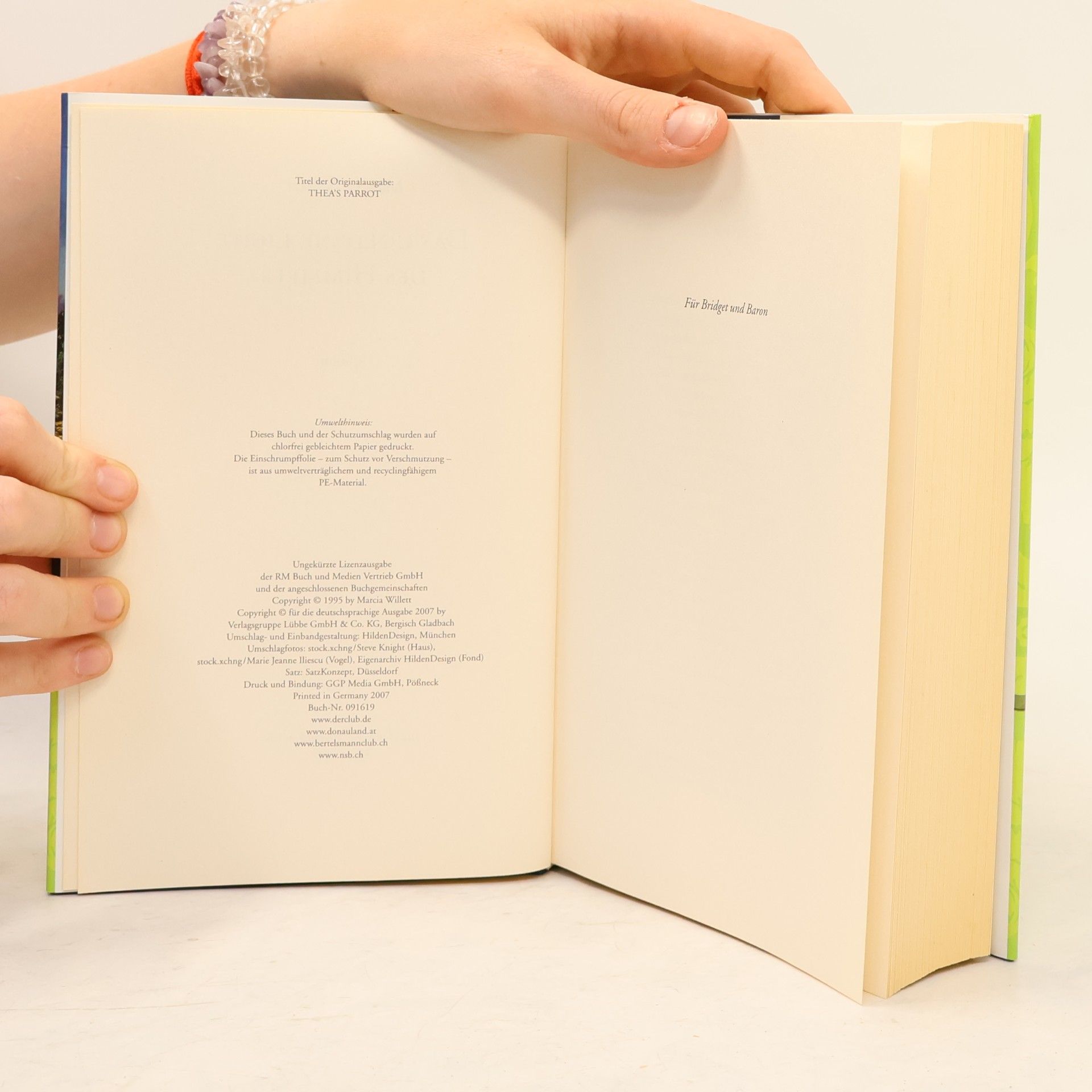 Marcia Willett Das goldene Licht des Himmels