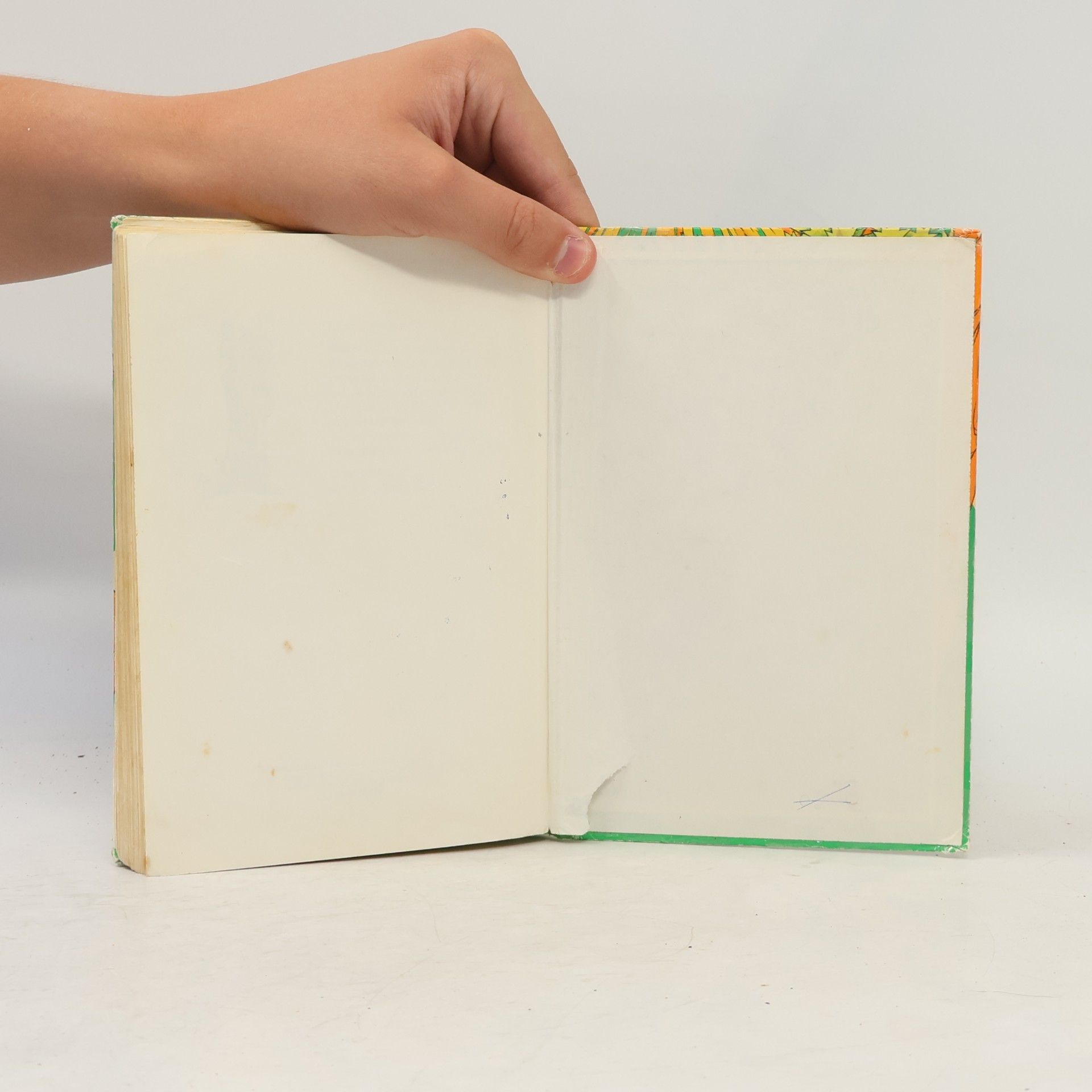 Autorenkollektiv Lurchis gesammelte Abenteuer – Das lustige Salamanderbuch III.
