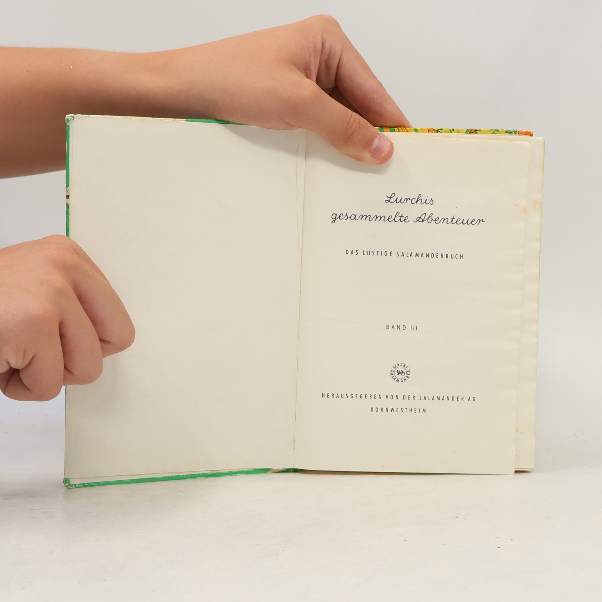 Autorenkollektiv Lurchis gesammelte Abenteuer – Das lustige Salamanderbuch III.