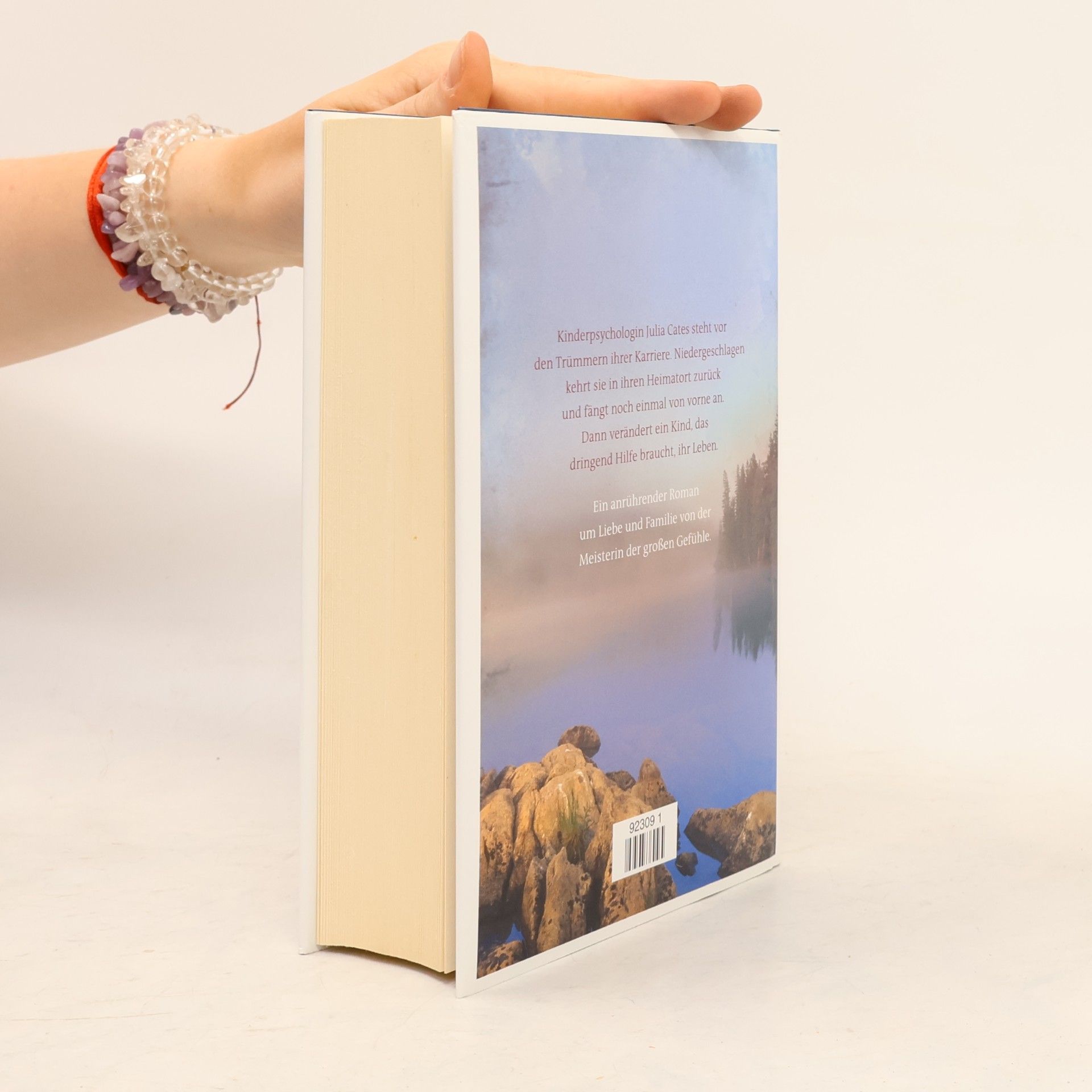 Kristin Hannah Wohin das Herz uns Trägt