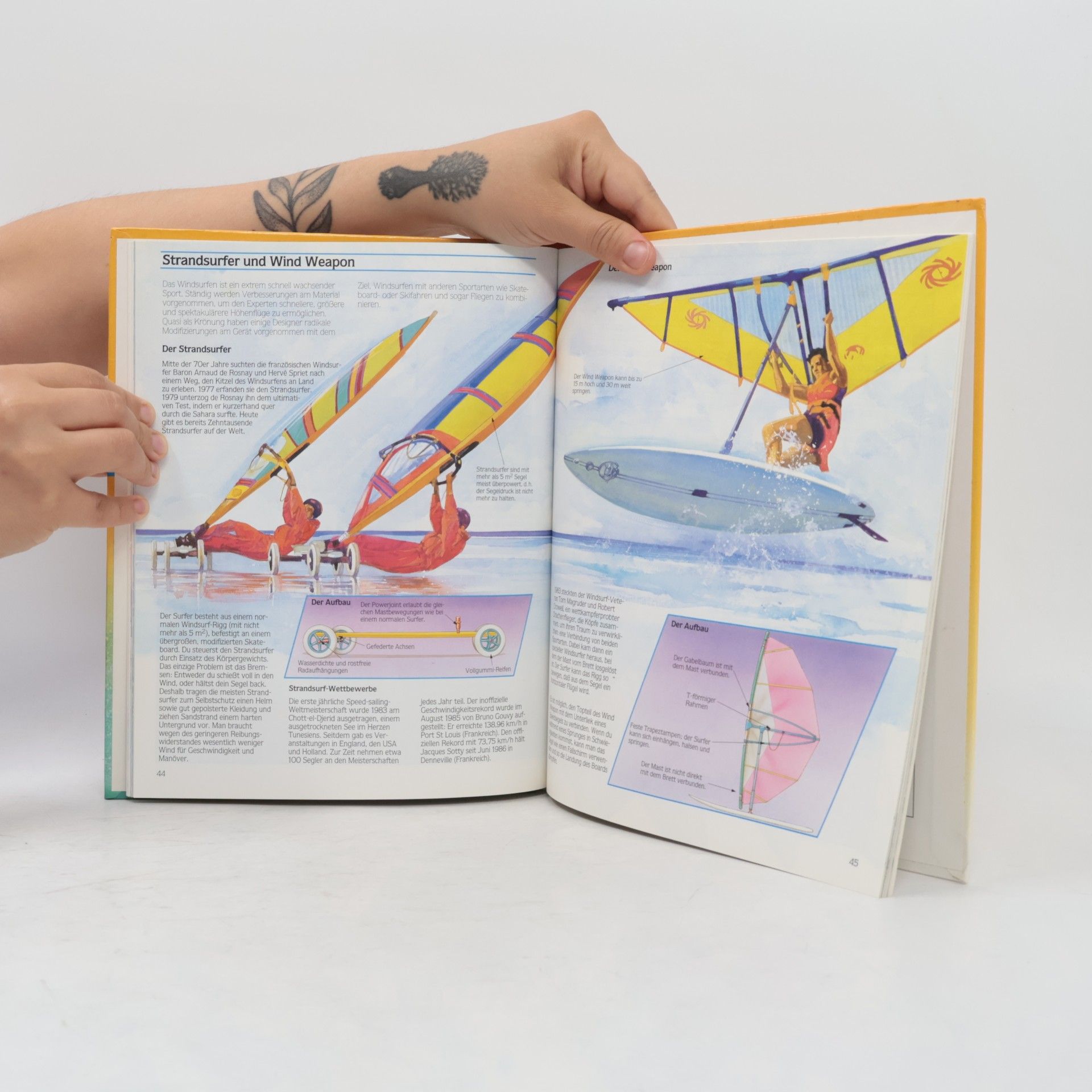Janet Cook Das Buch vom Windsurfen: Vom Anfänger zum Könner