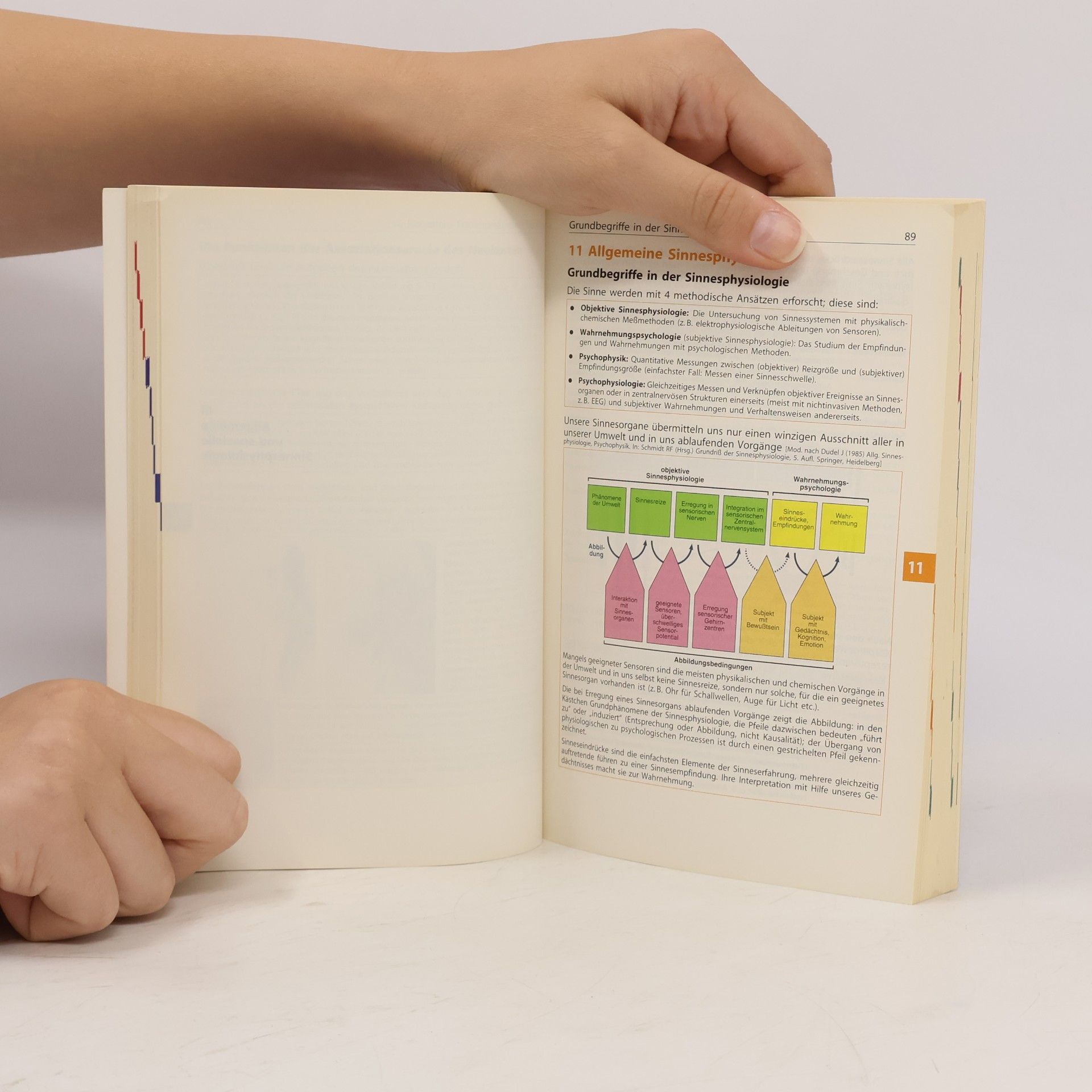 Robert F. Schmidt Physiologie kompakt