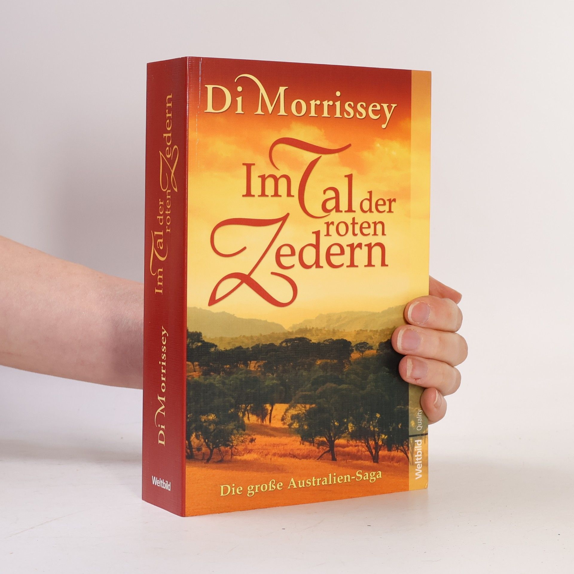 Di Morrissey Im Tal der roten Zedern