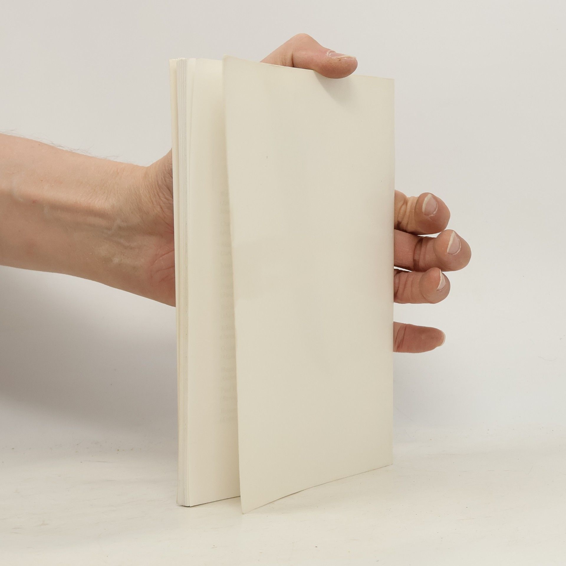 Autorenkollektiv Co v učebnicích chybělo : o německy psané literatuře v českých zemích
