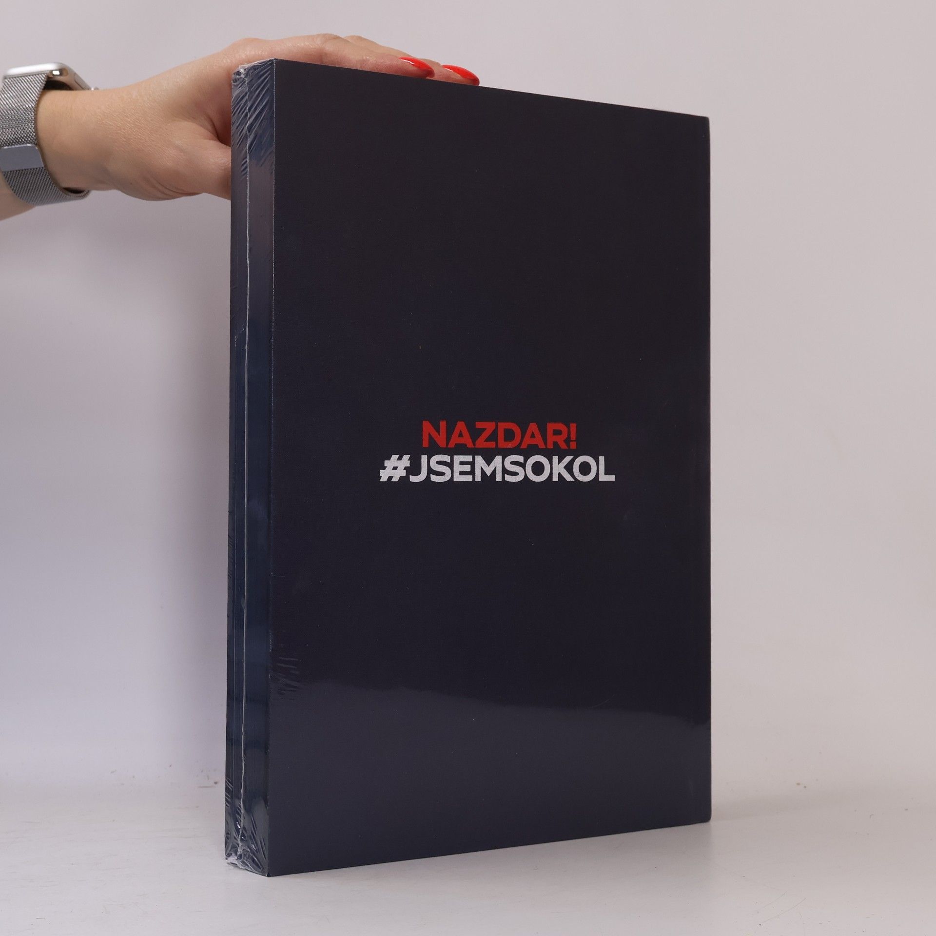Autorenkollektiv XVII. všesokolský slet 30/6 - 5/7 2024 Praha
