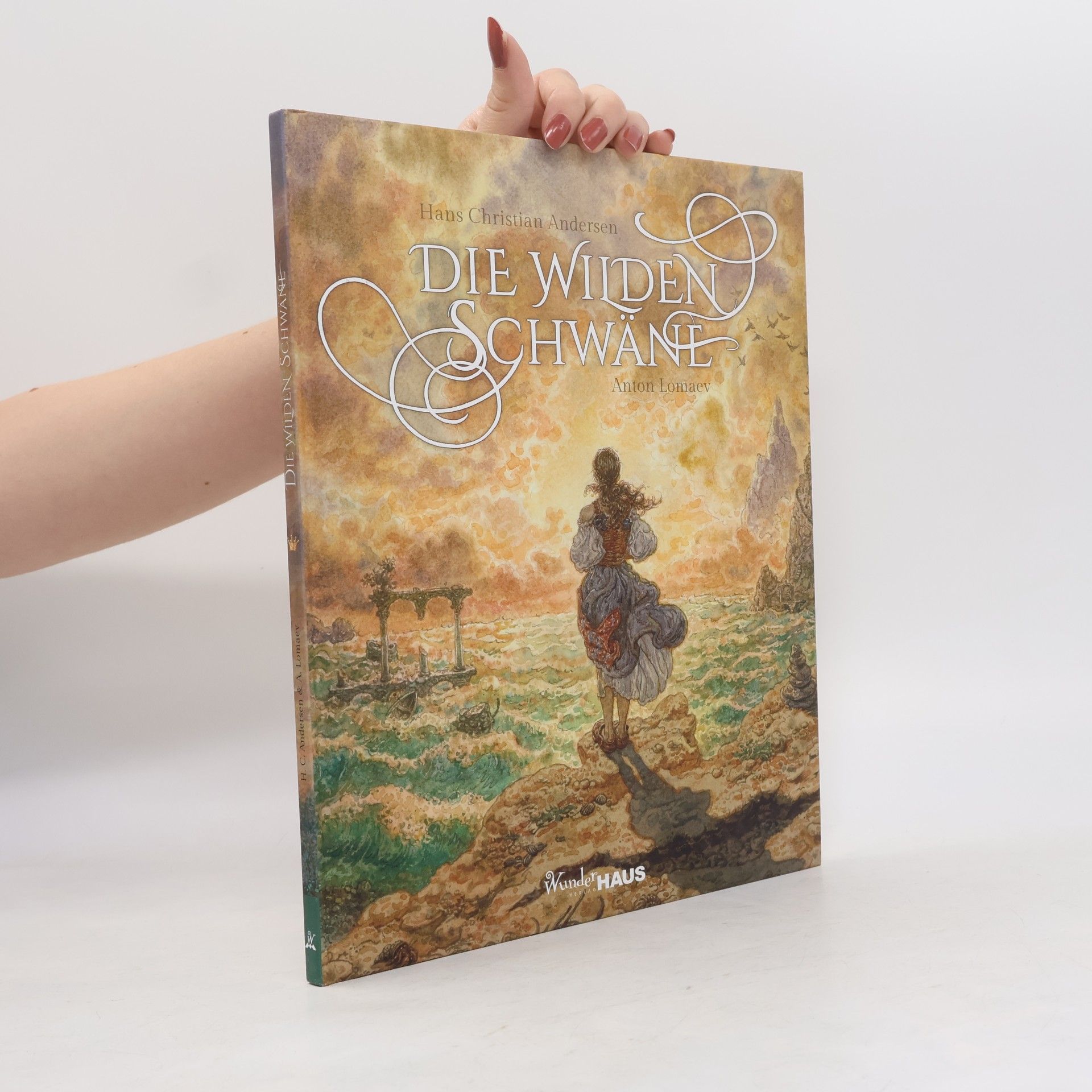Hans Christian Andersen Die wilden Schwäne. Buch, Unendliche Welten