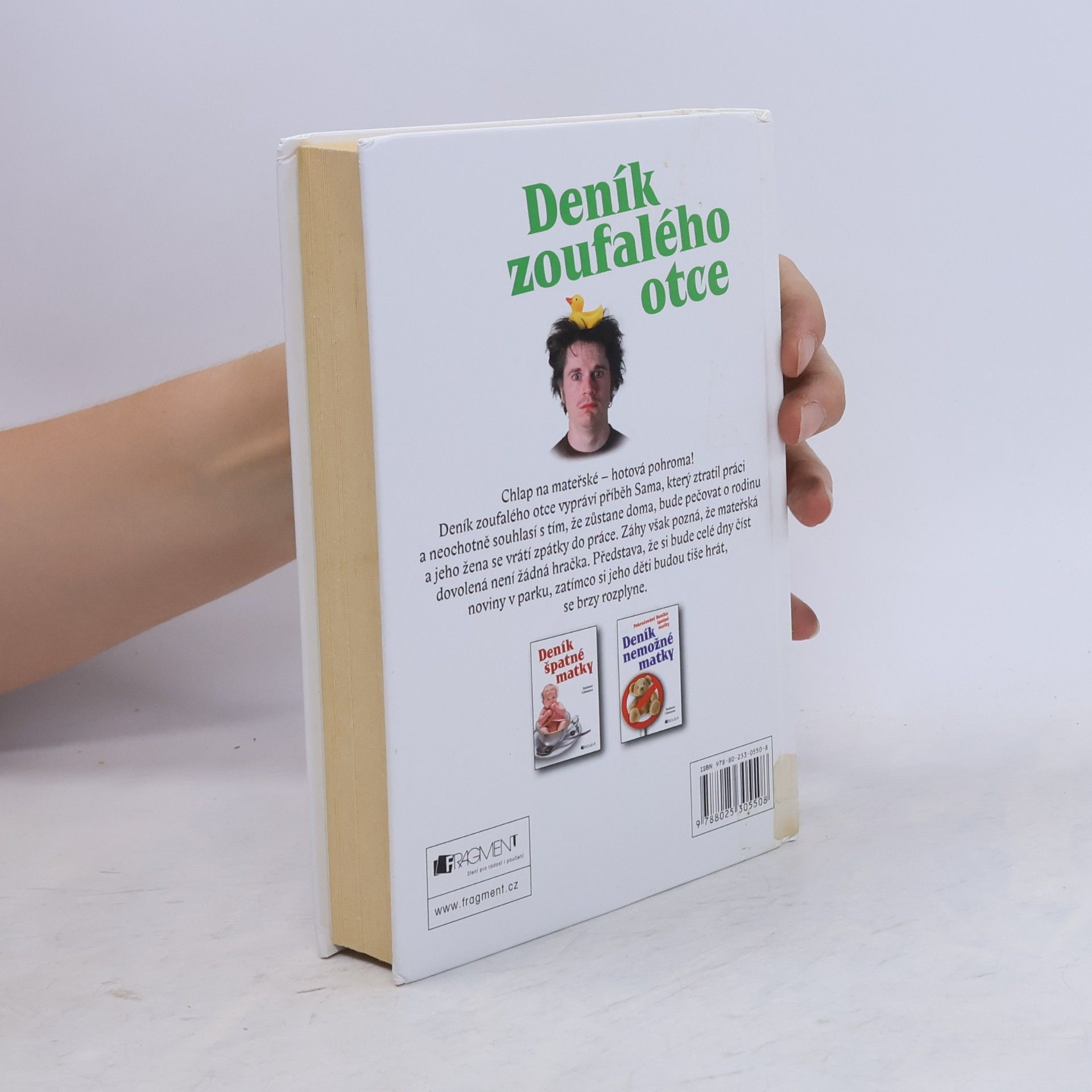 Sam Holden Deník zoufalého otce. Táta na mateřské