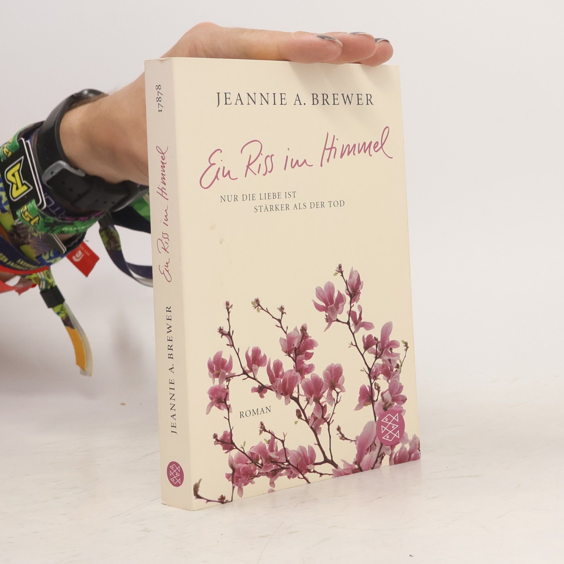Jeannie Brewer Ein Riss im Himmel