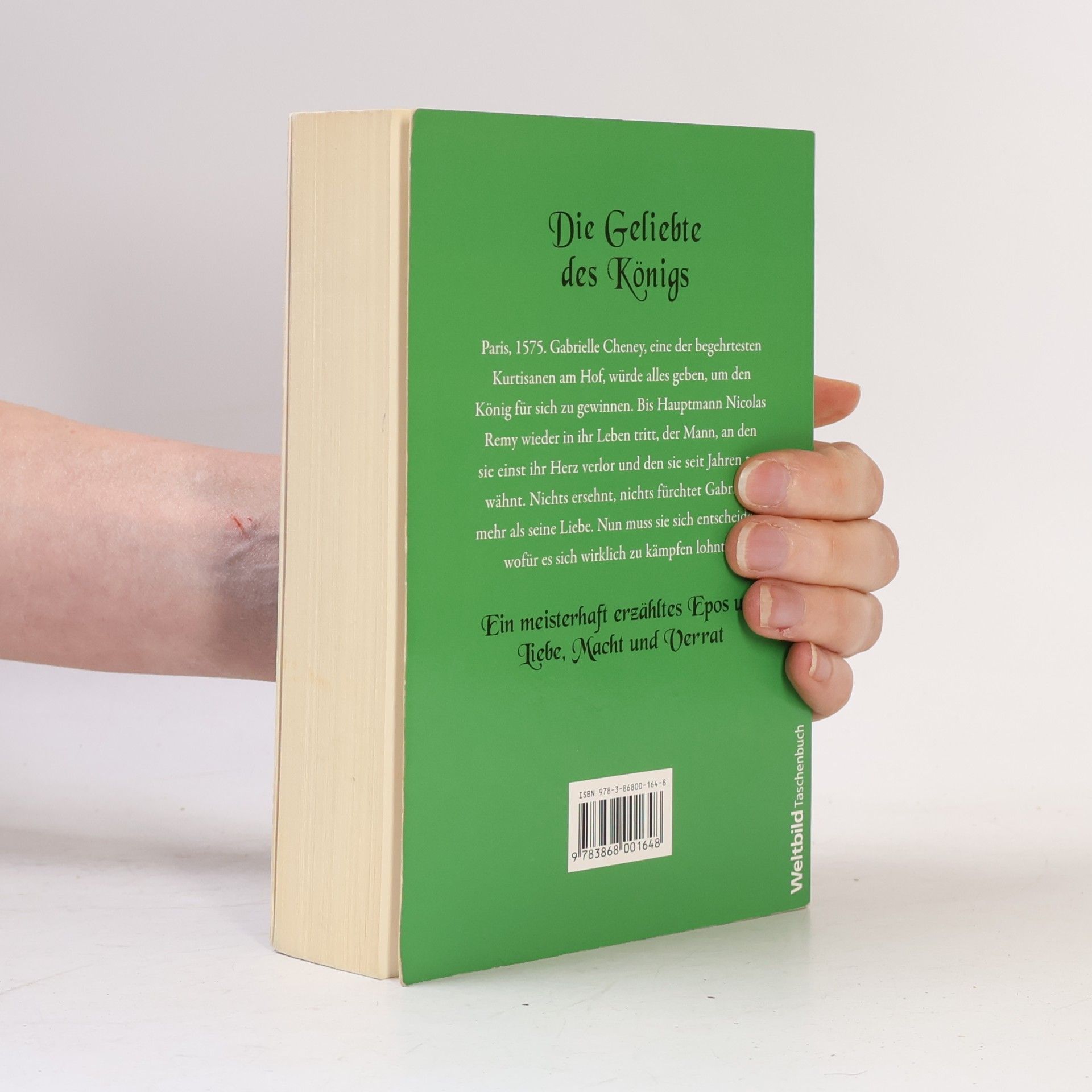 Susan Carroll Die Geliebte des Königs