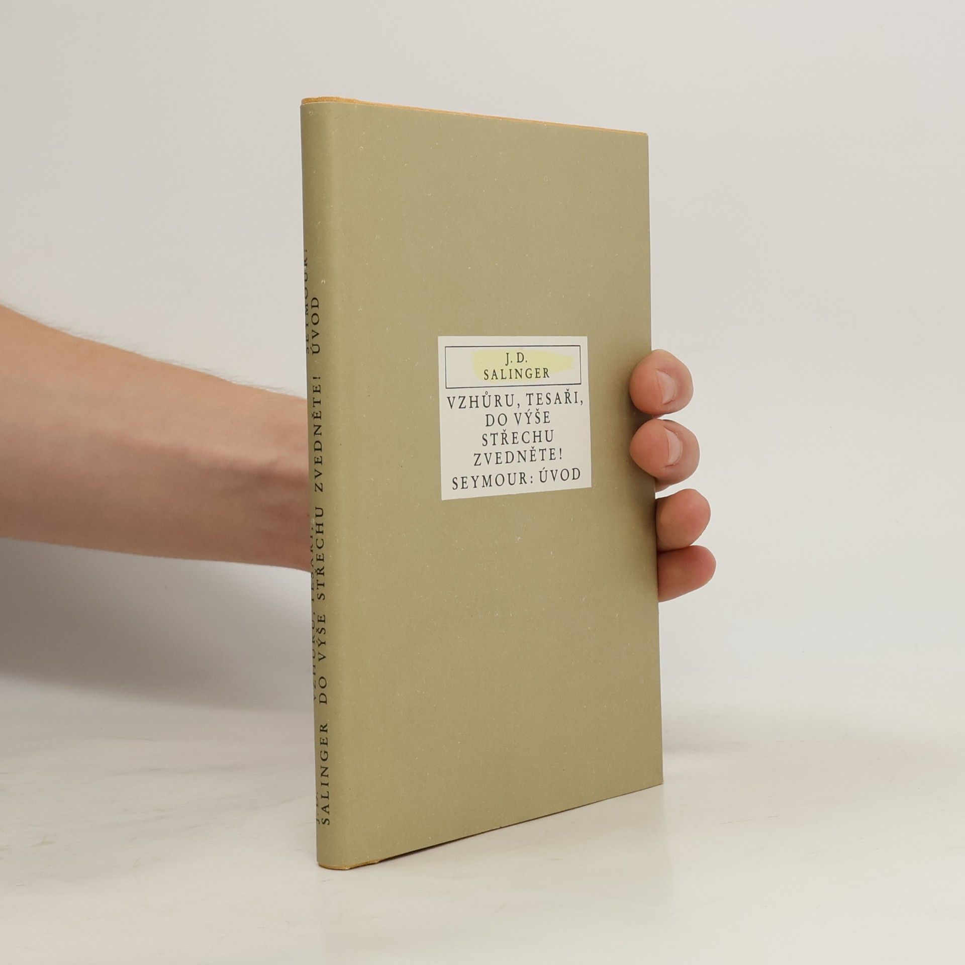 J. D. Salinger Vzhůru, tesaři, do výše střechu zvedněte! Úvod