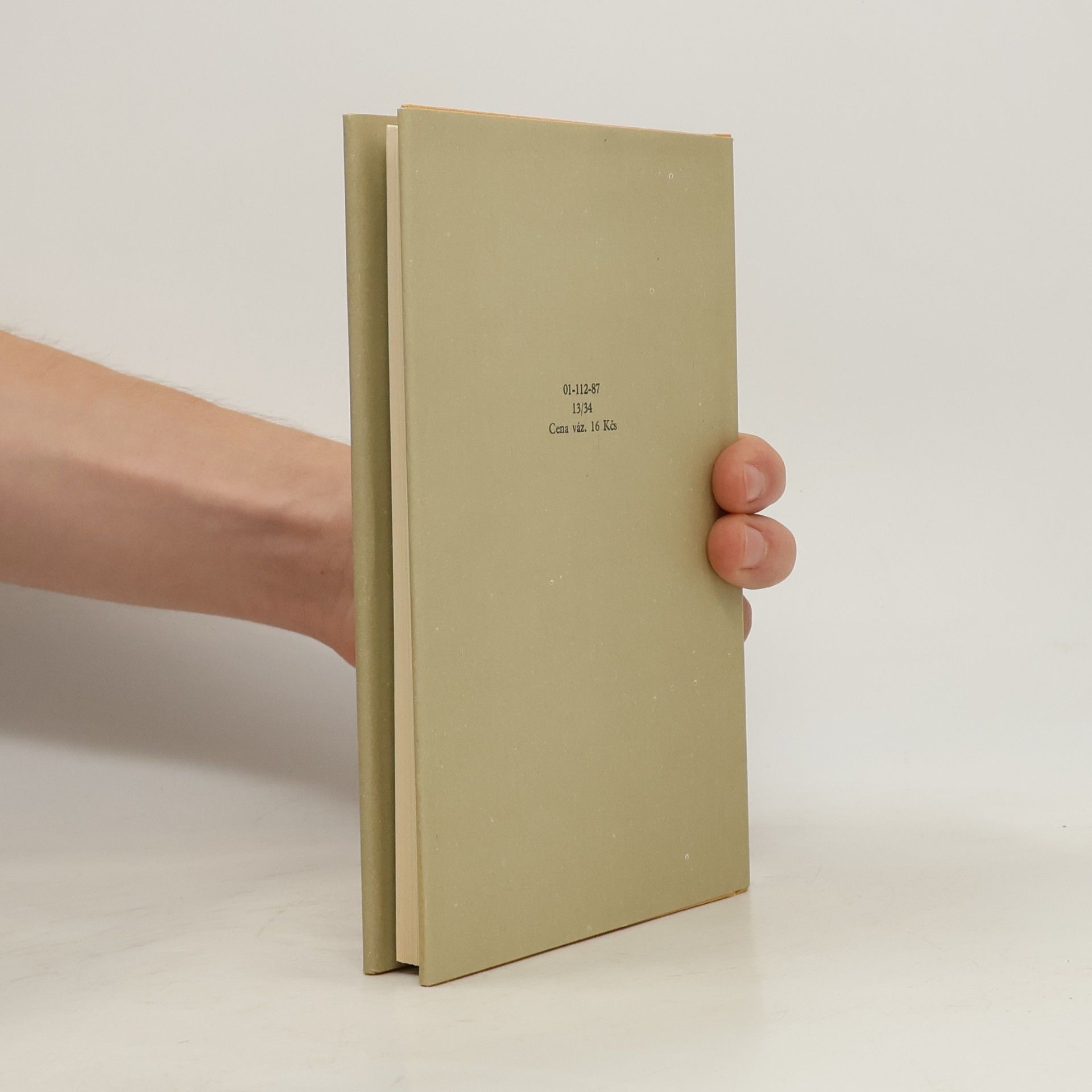 J. D. Salinger Vzhůru, tesaři, do výše střechu zvedněte! Úvod