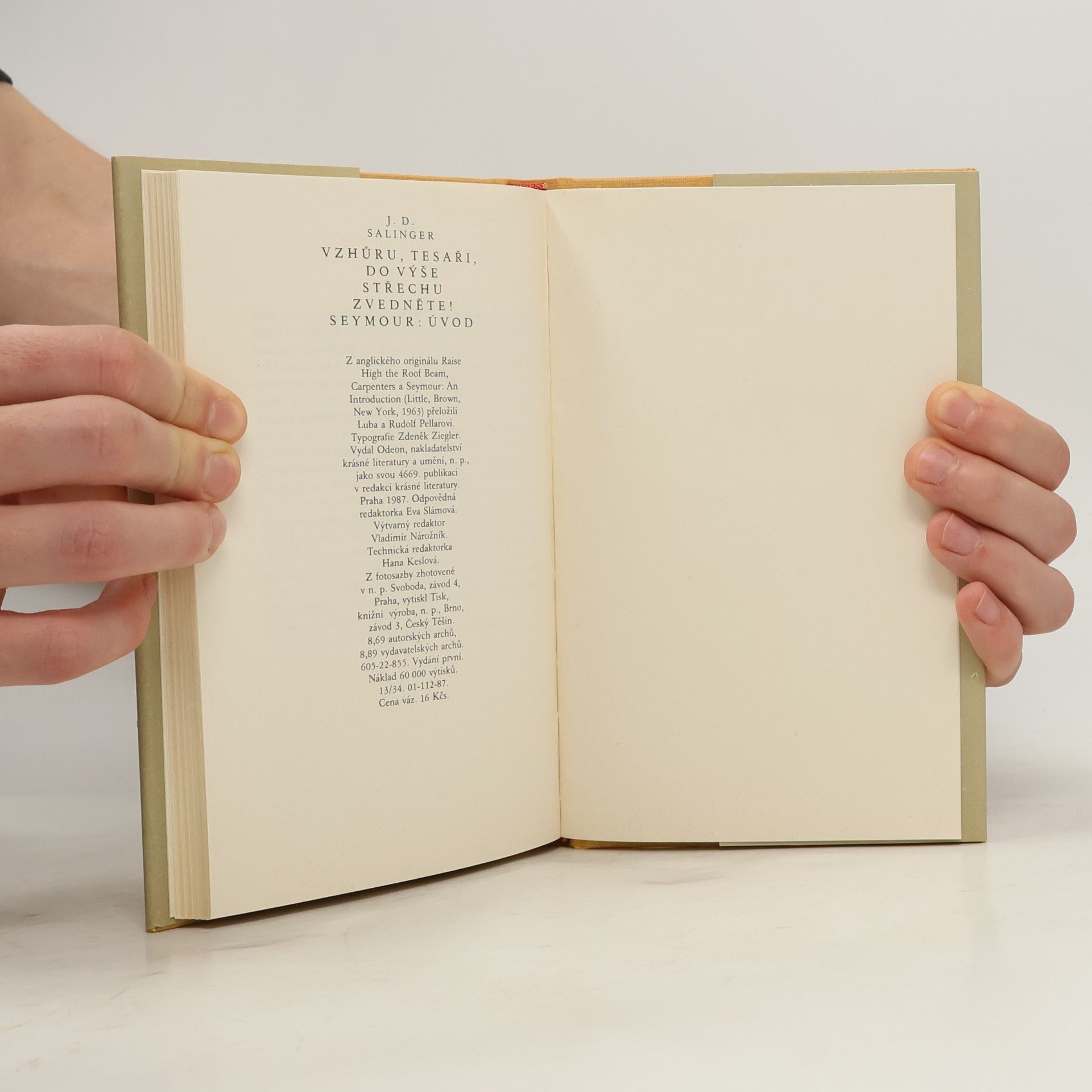 J. D. Salinger Vzhůru, tesaři, do výše střechu zvedněte! Úvod